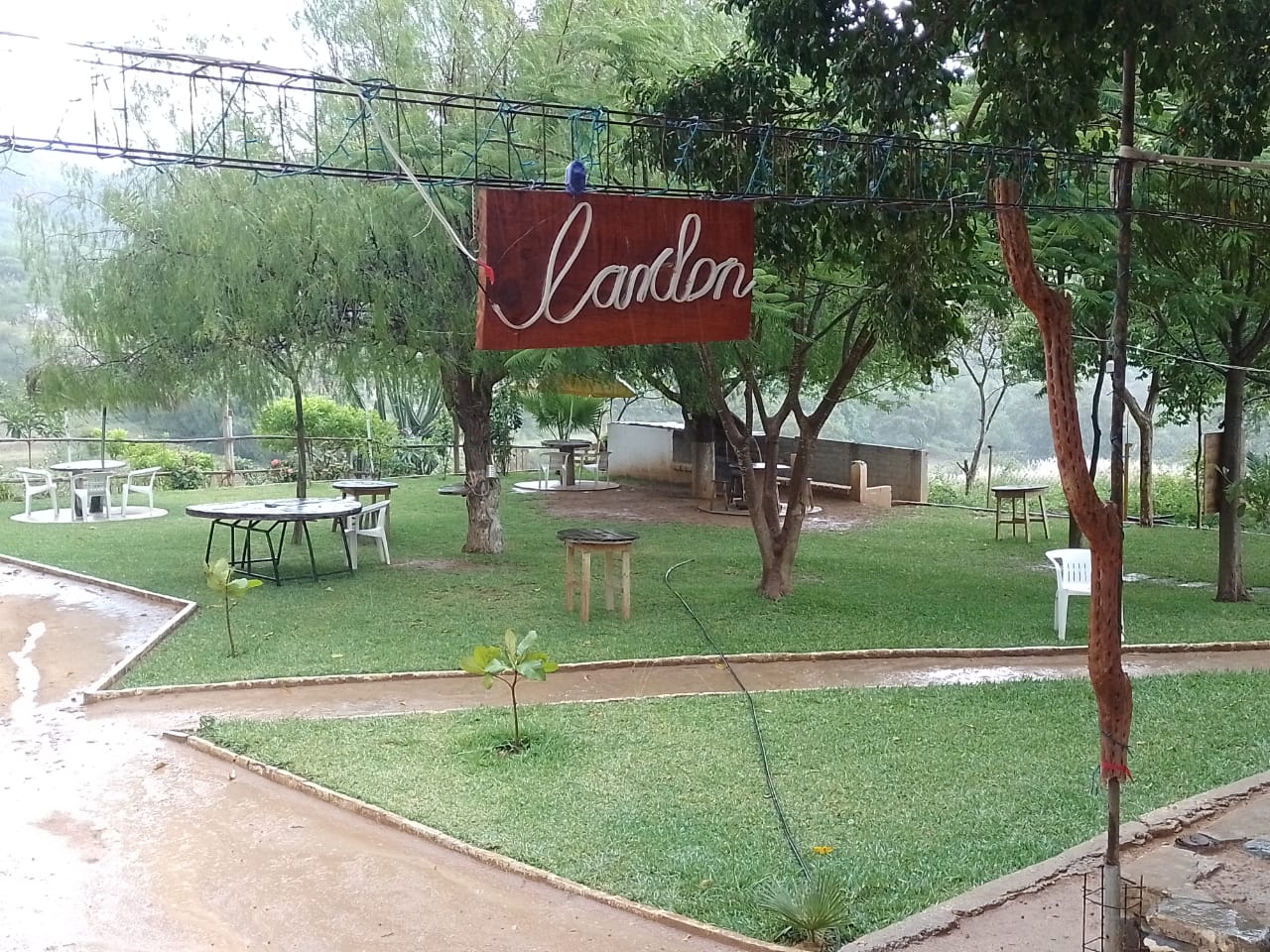 Cardon image 4