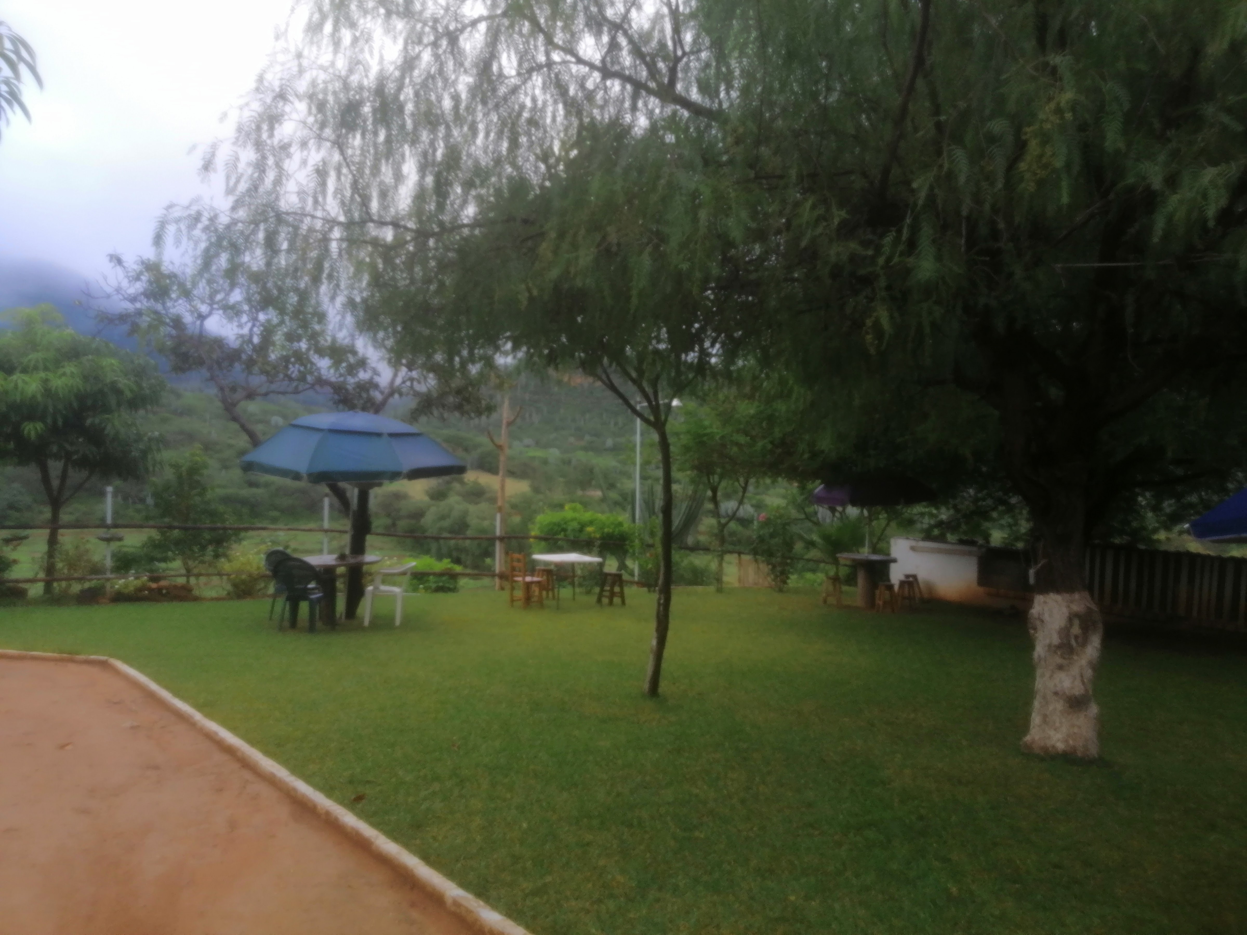 Cardon image 8