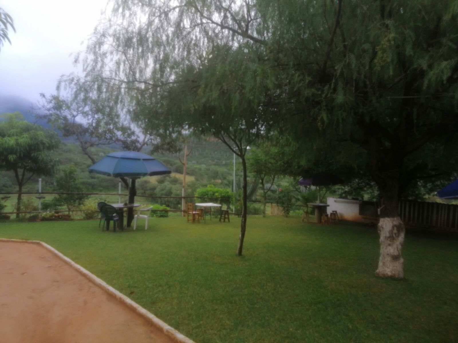 Cardon image 8