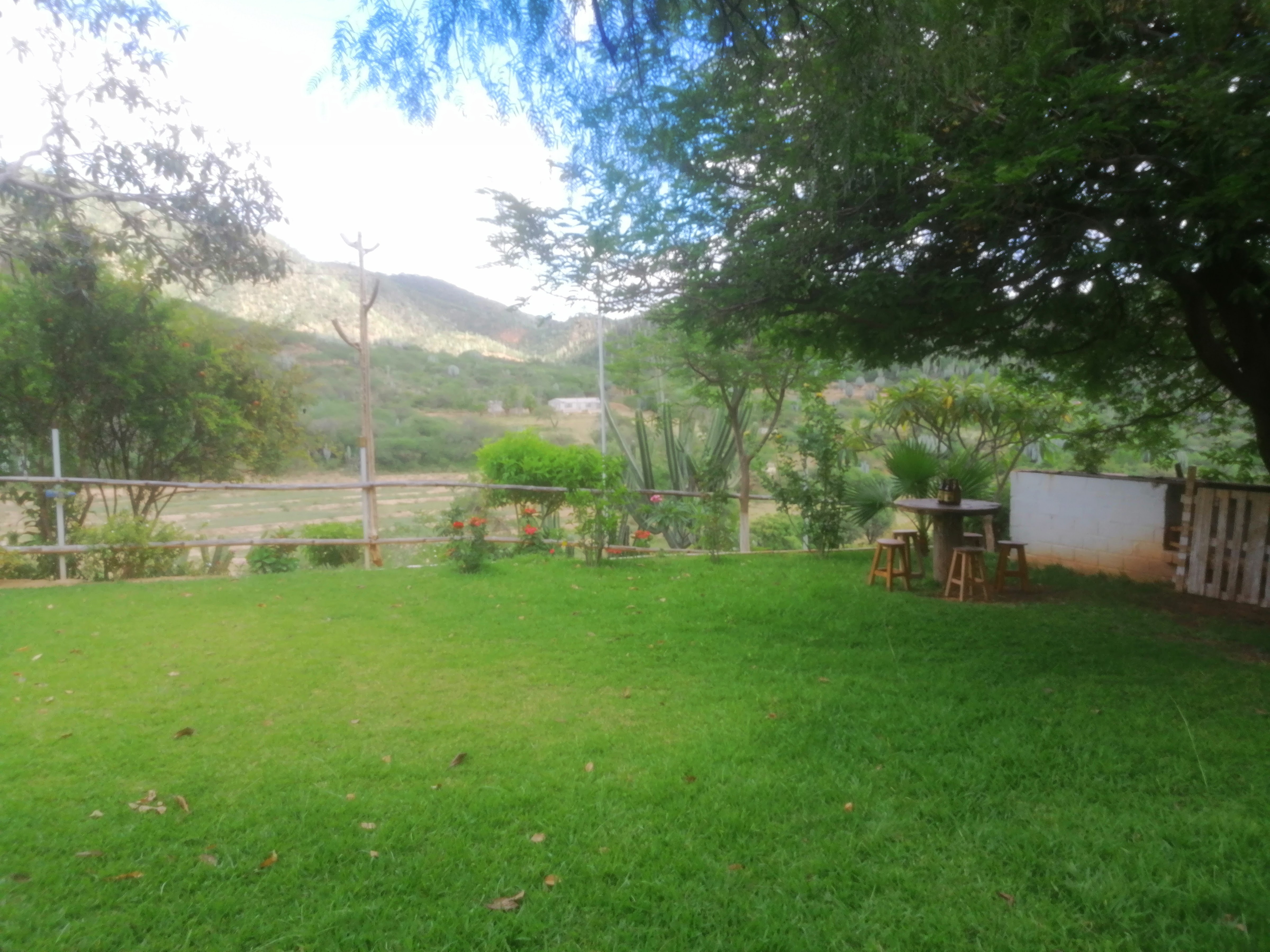 Cardon image 9