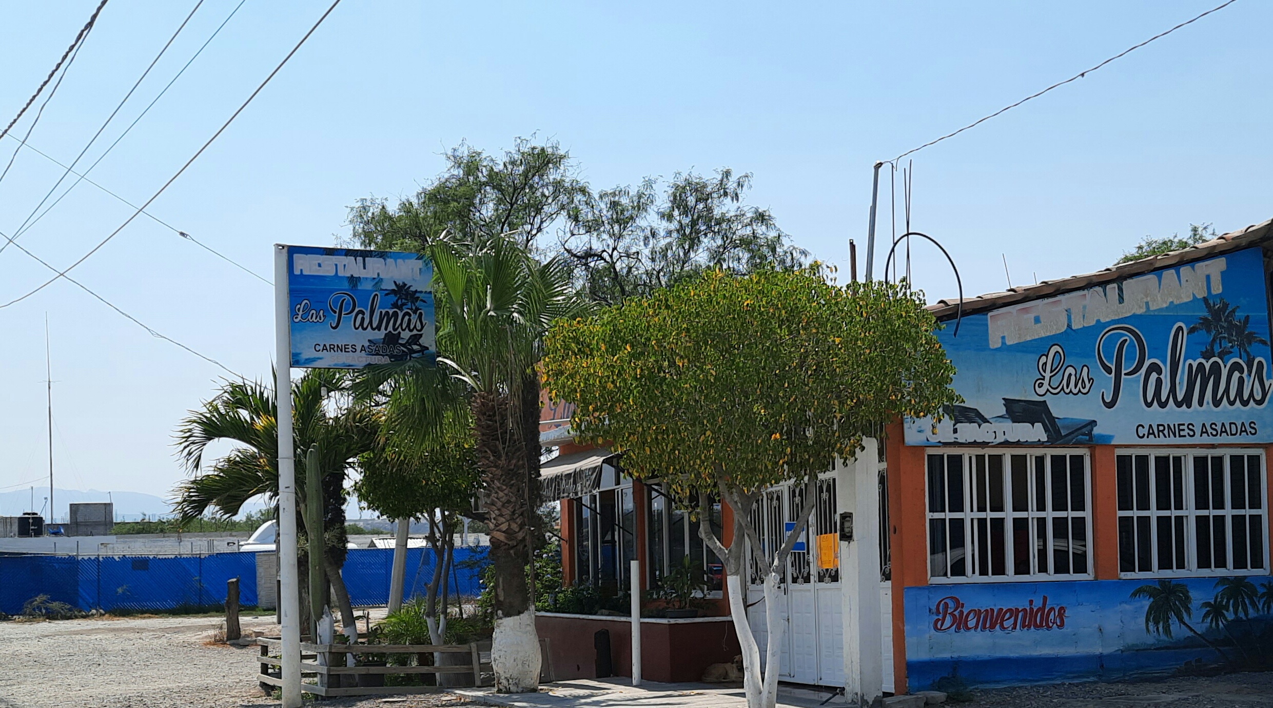 Restaurant Las palmas image 6