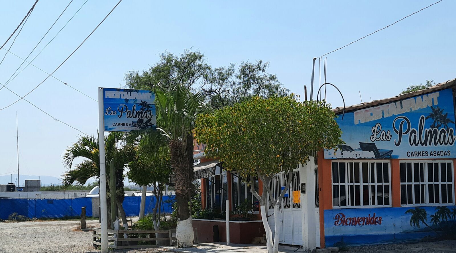 Restaurant Las palmas image 6