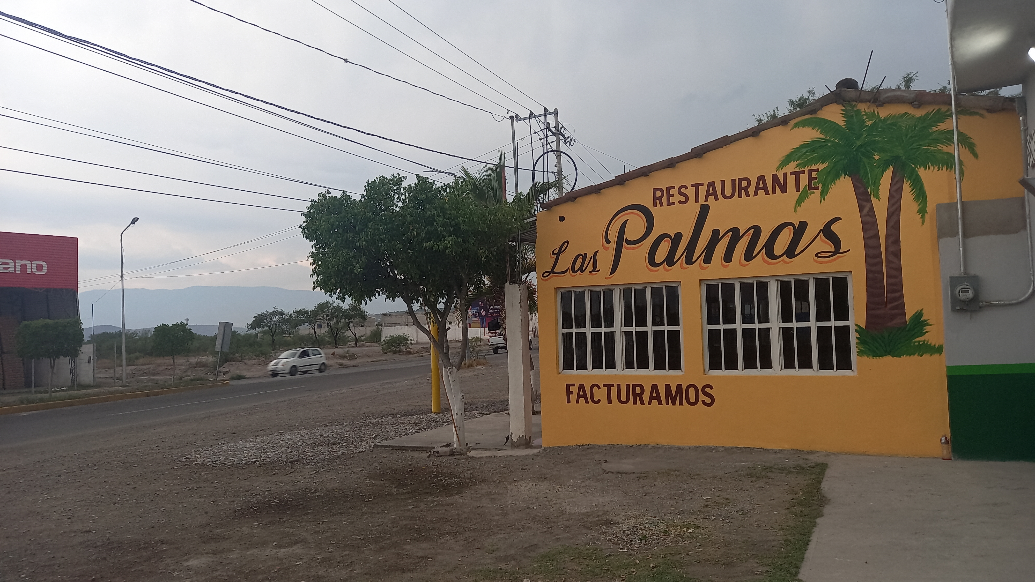 Restaurant Las palmas image 7