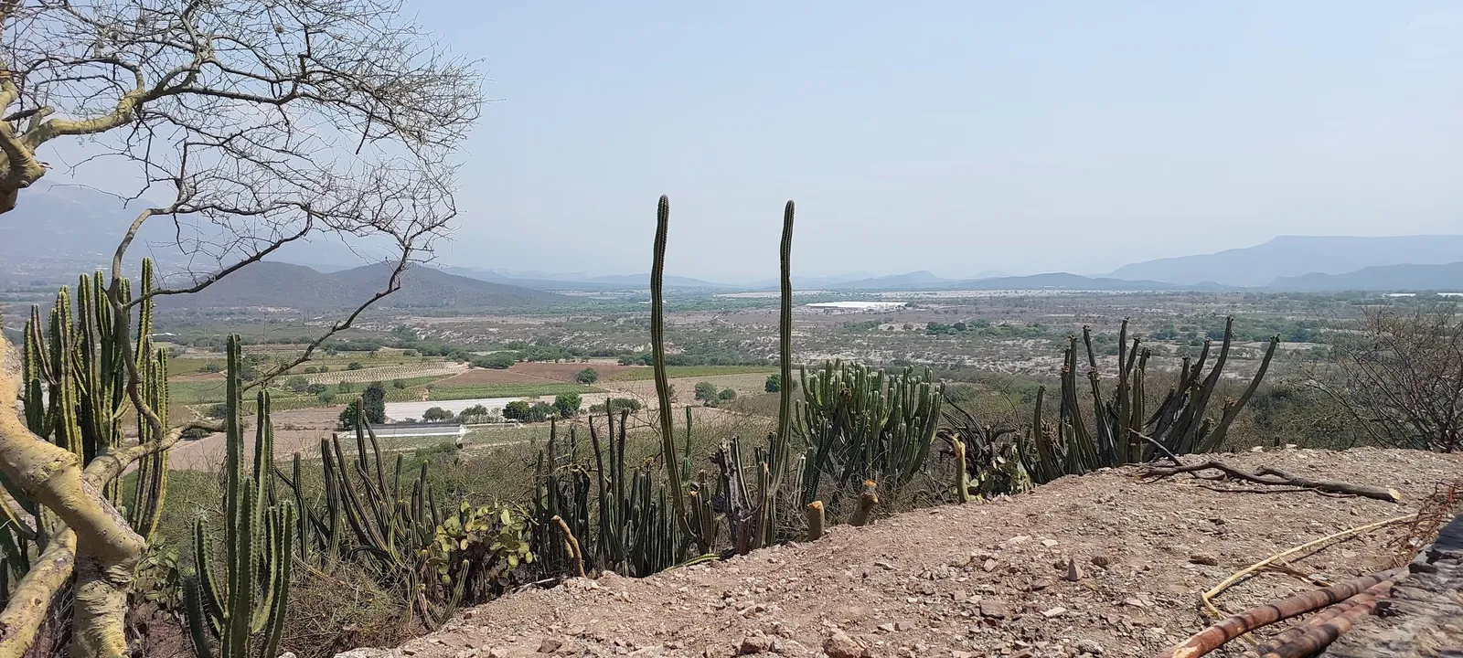 Mirador San Pedro image 5