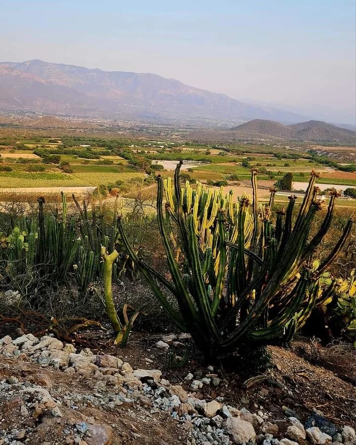 Mirador San Pedro image 6
