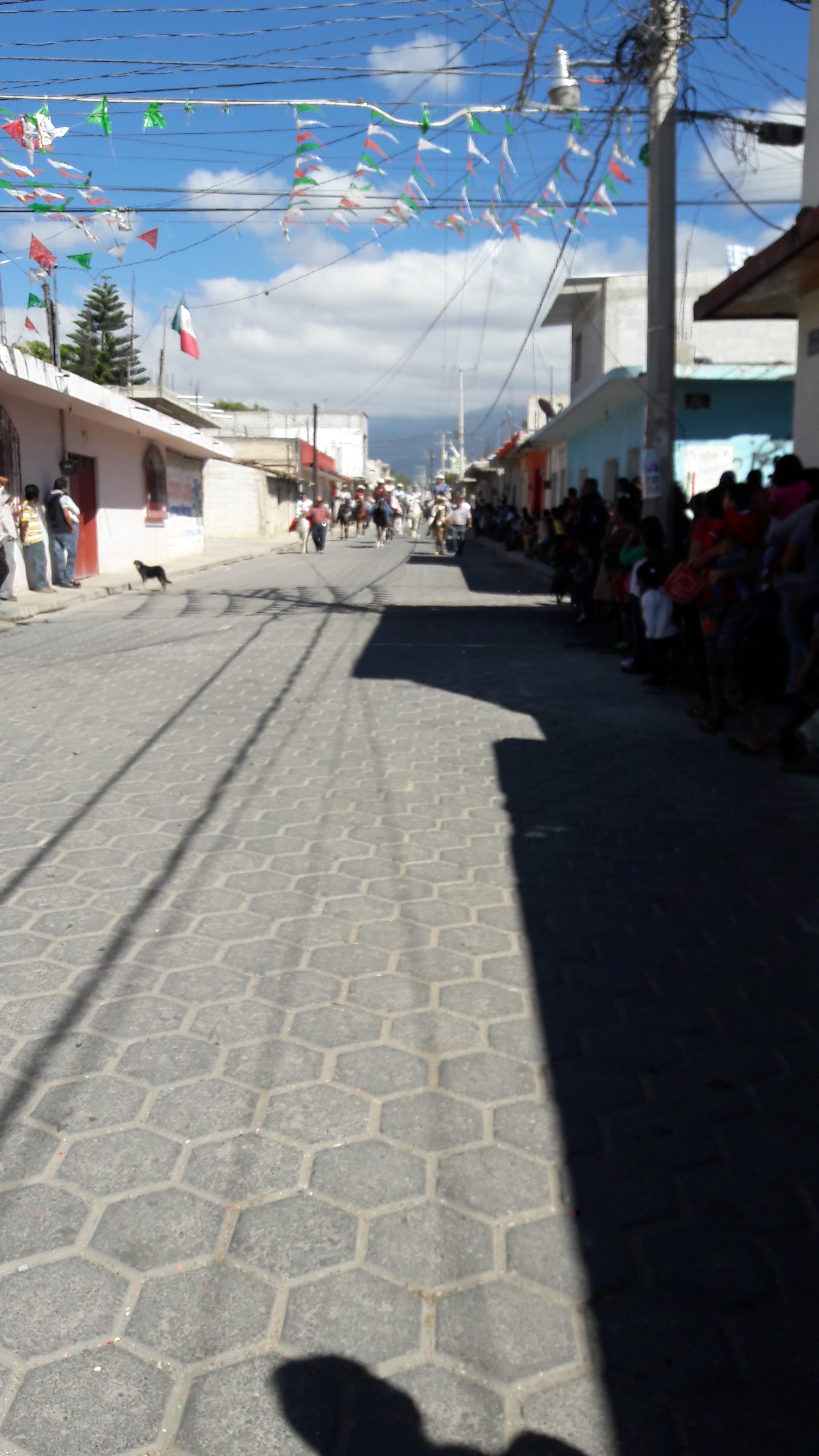 restaurant las palmas image 5