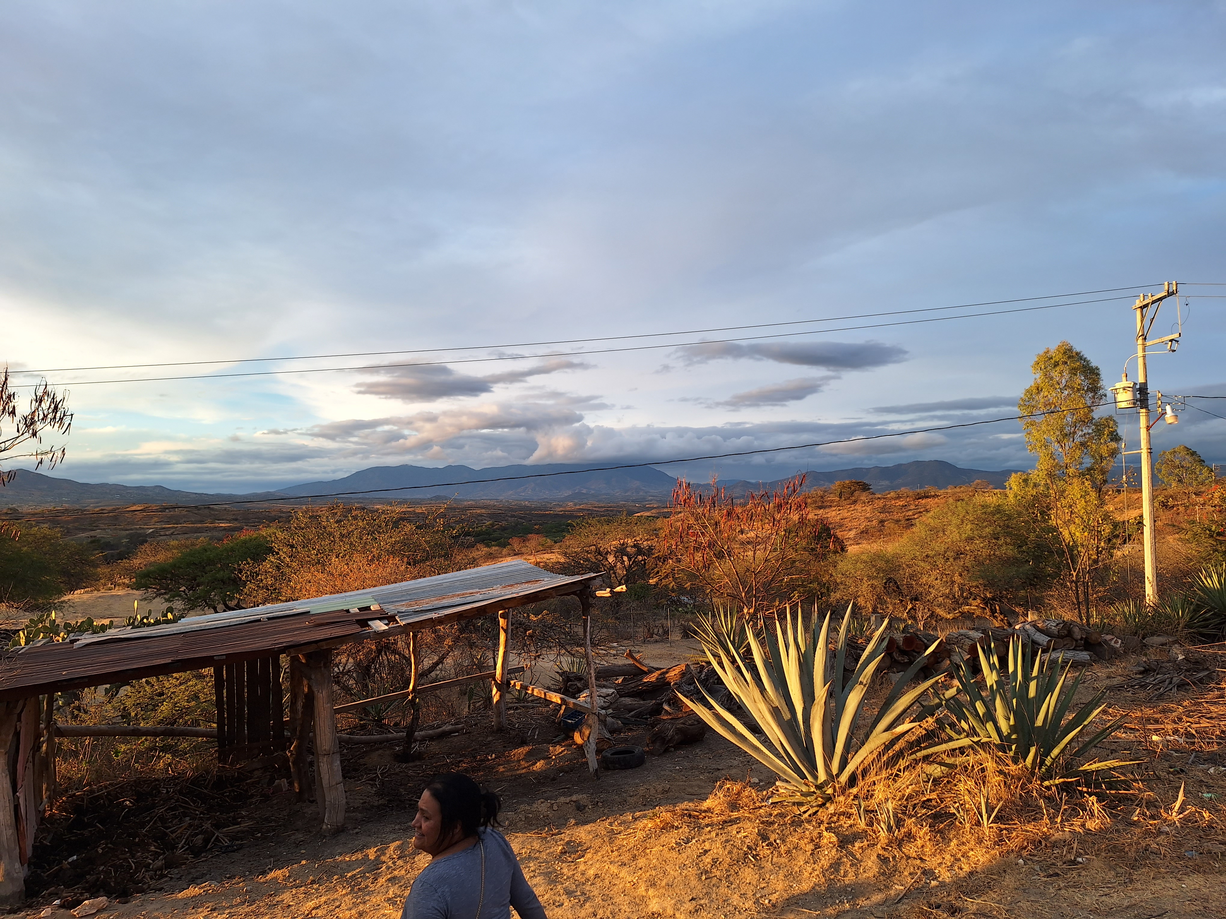 Mezcaleria Rinconcito Mezcalero image 6