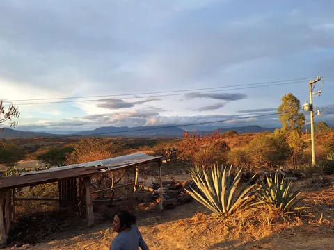 Mezcaleria Rinconcito Mezcalero image 6