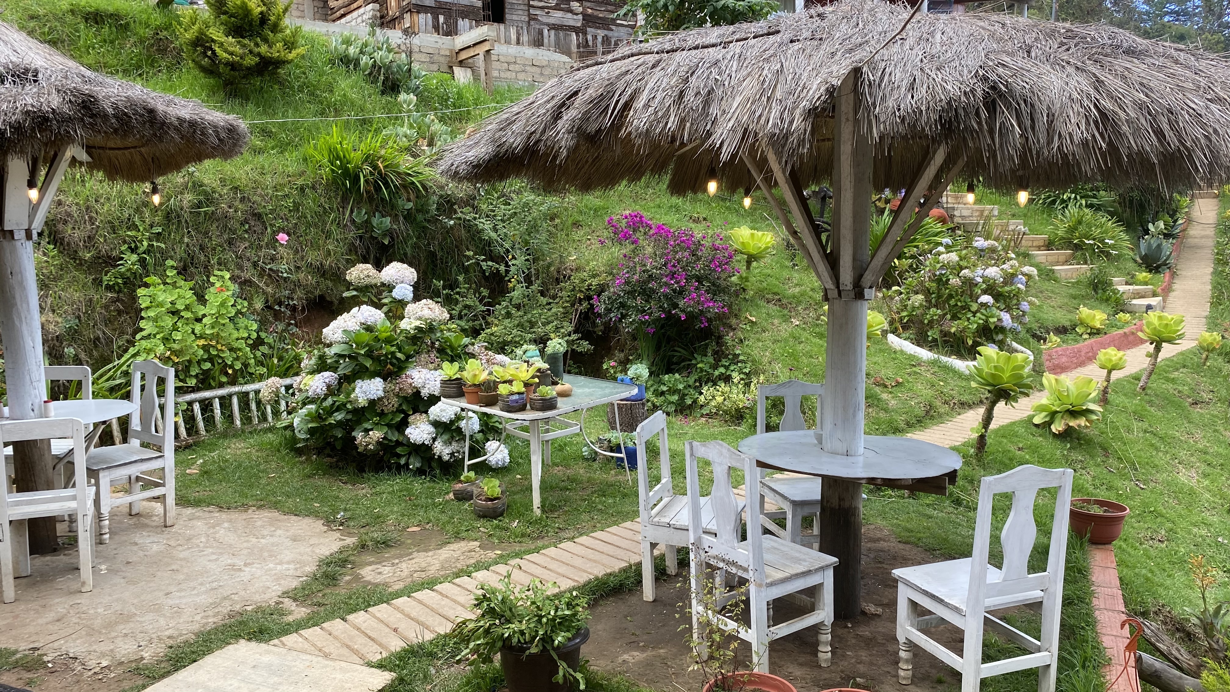 Comedor Carmelita image 1