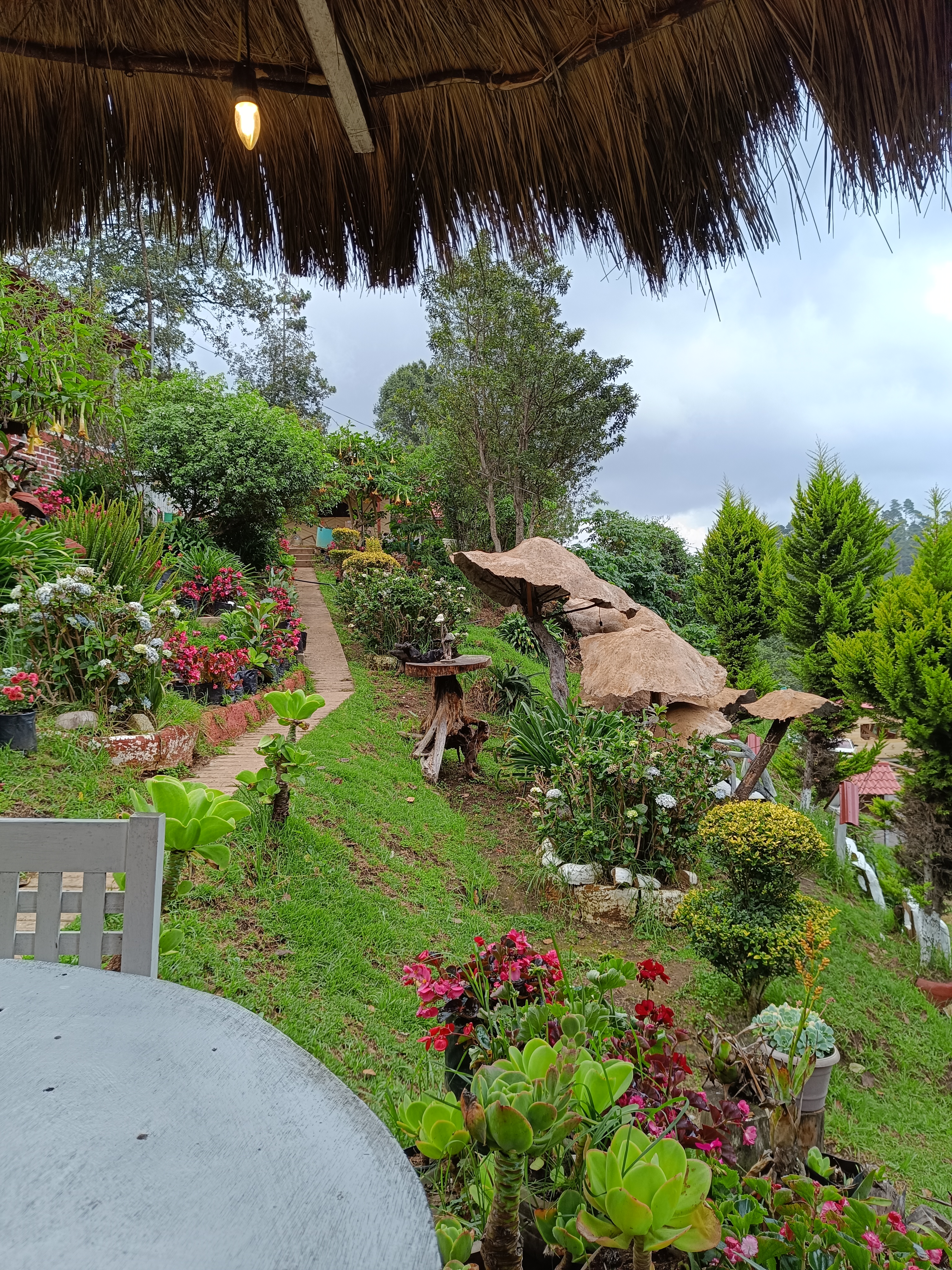 Comedor Carmelita image 5