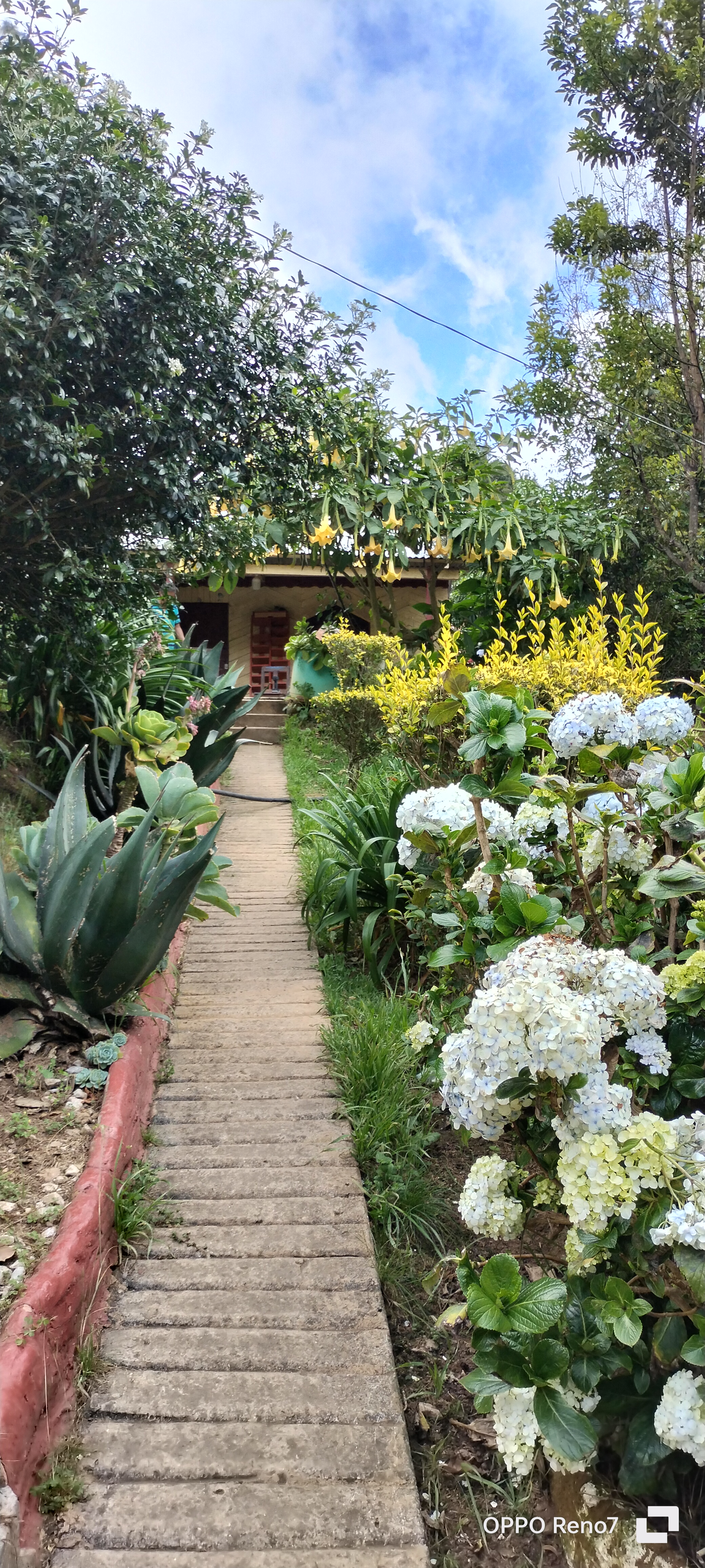 Comedor Carmelita image 9
