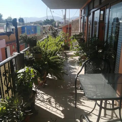 La Loma image 1