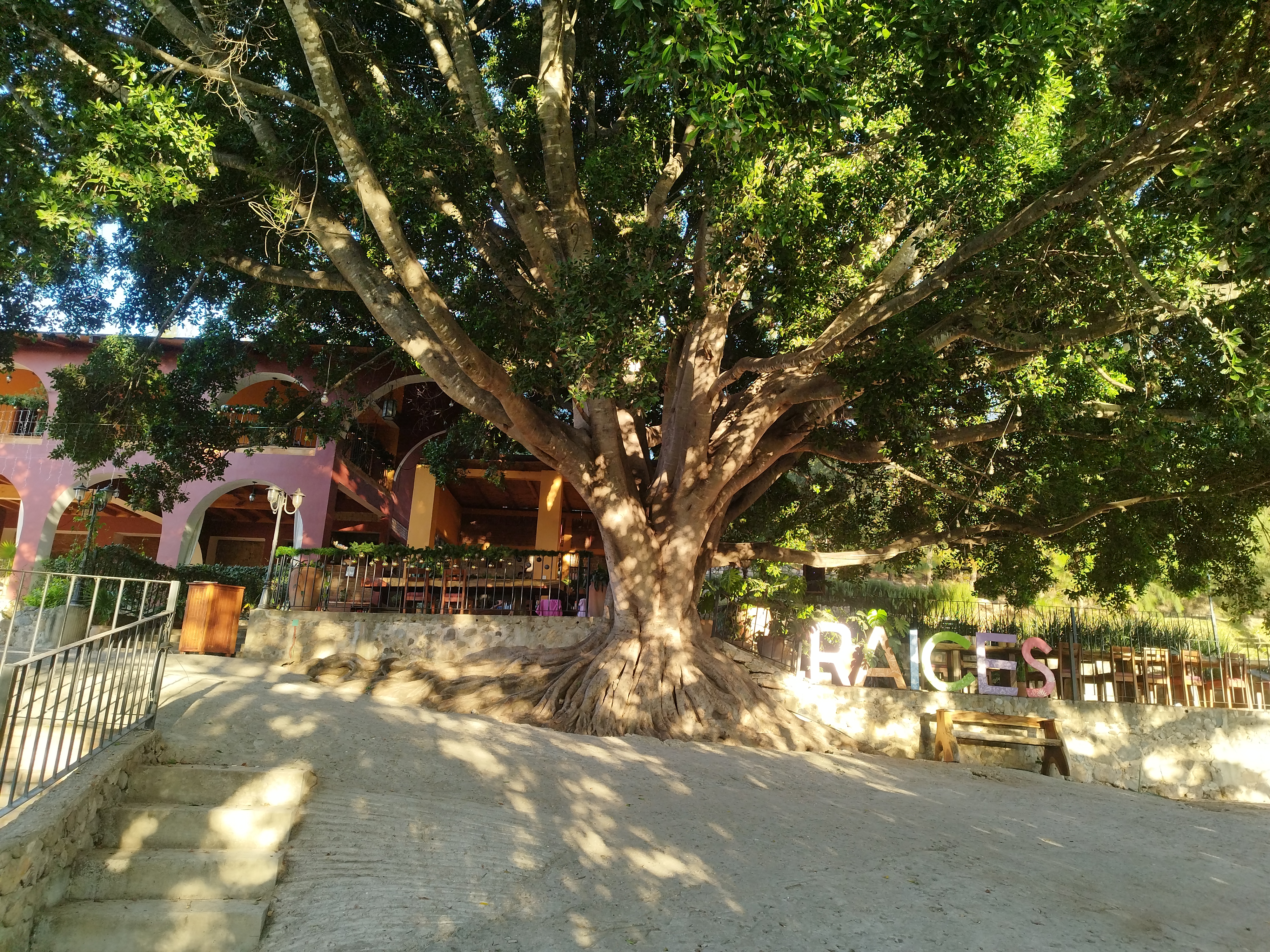 Raíces Restaurante Campestre image 8