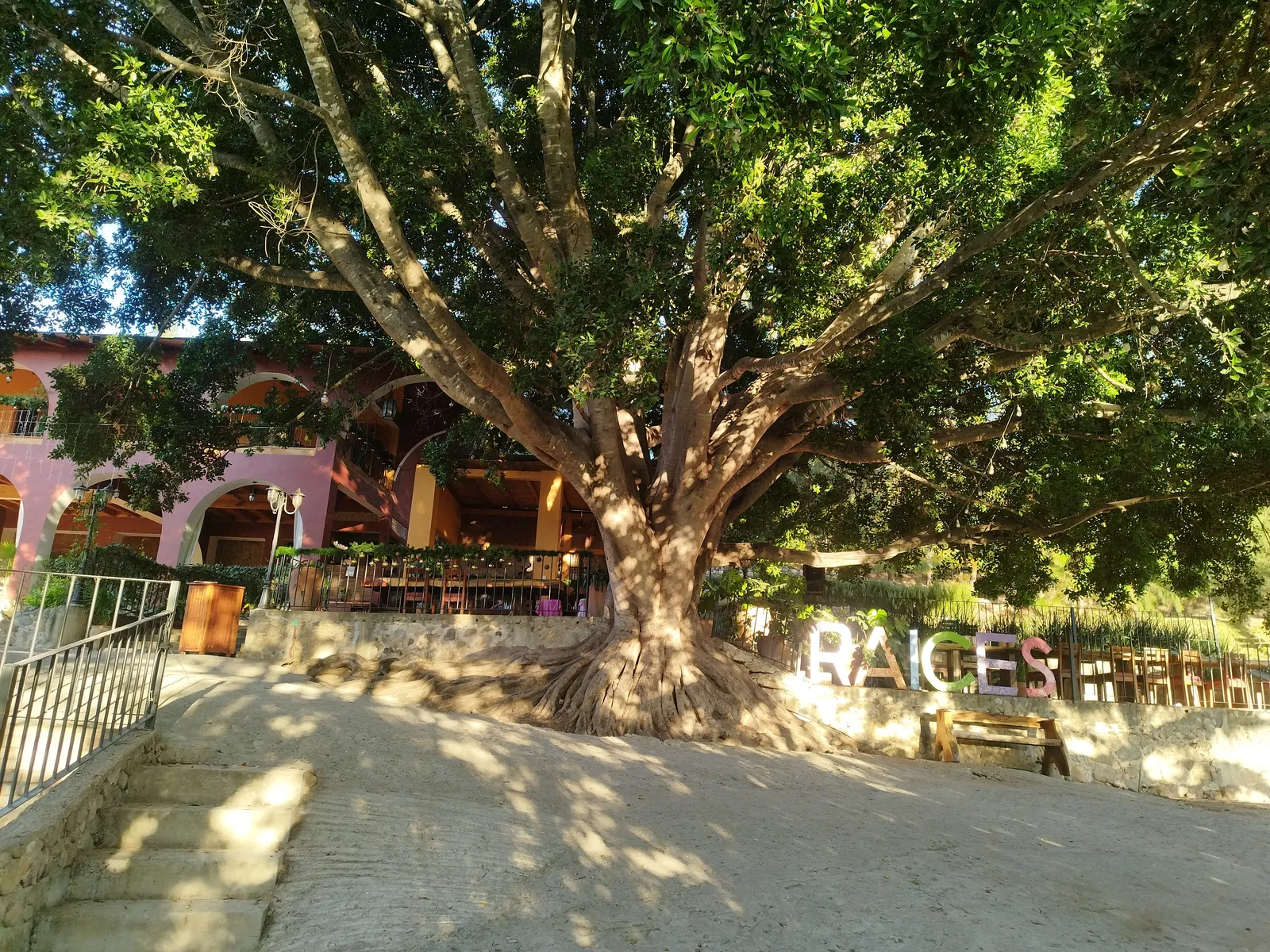 Raíces Restaurante Campestre image 8