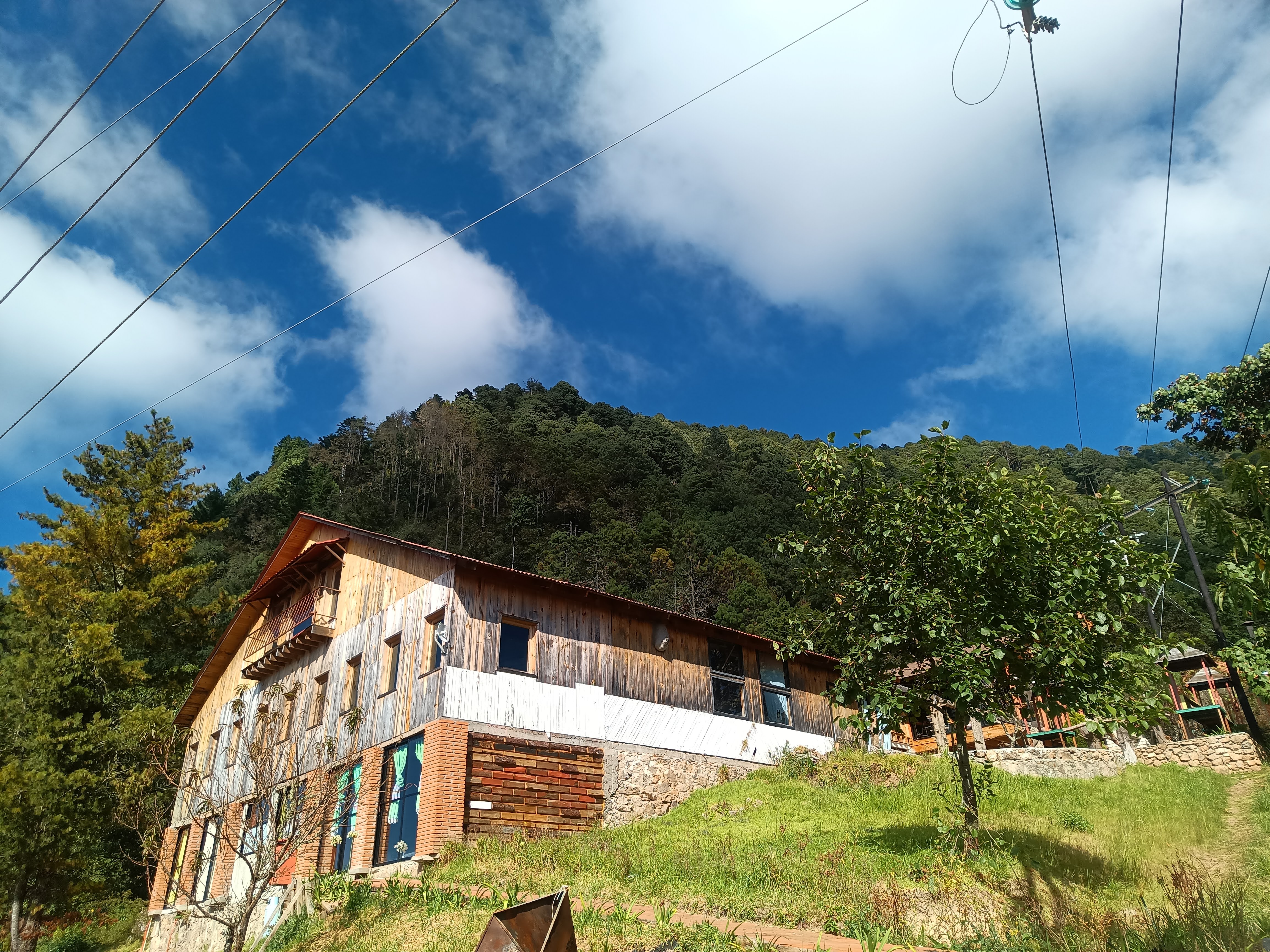 Teonanácatl image 4