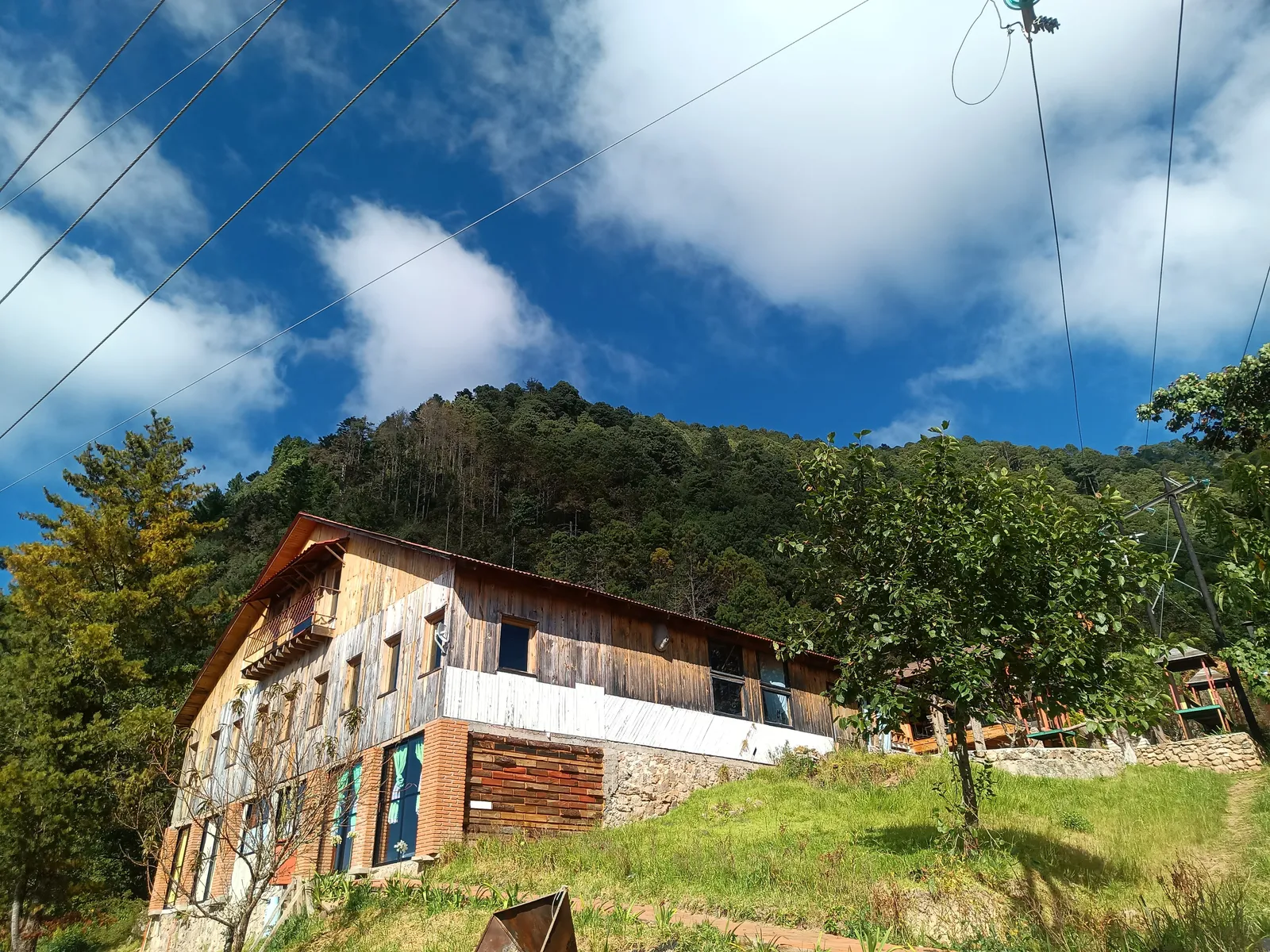 Teonanácatl image 4