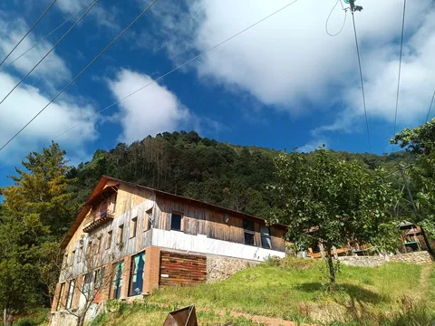 Teonanácatl image 4