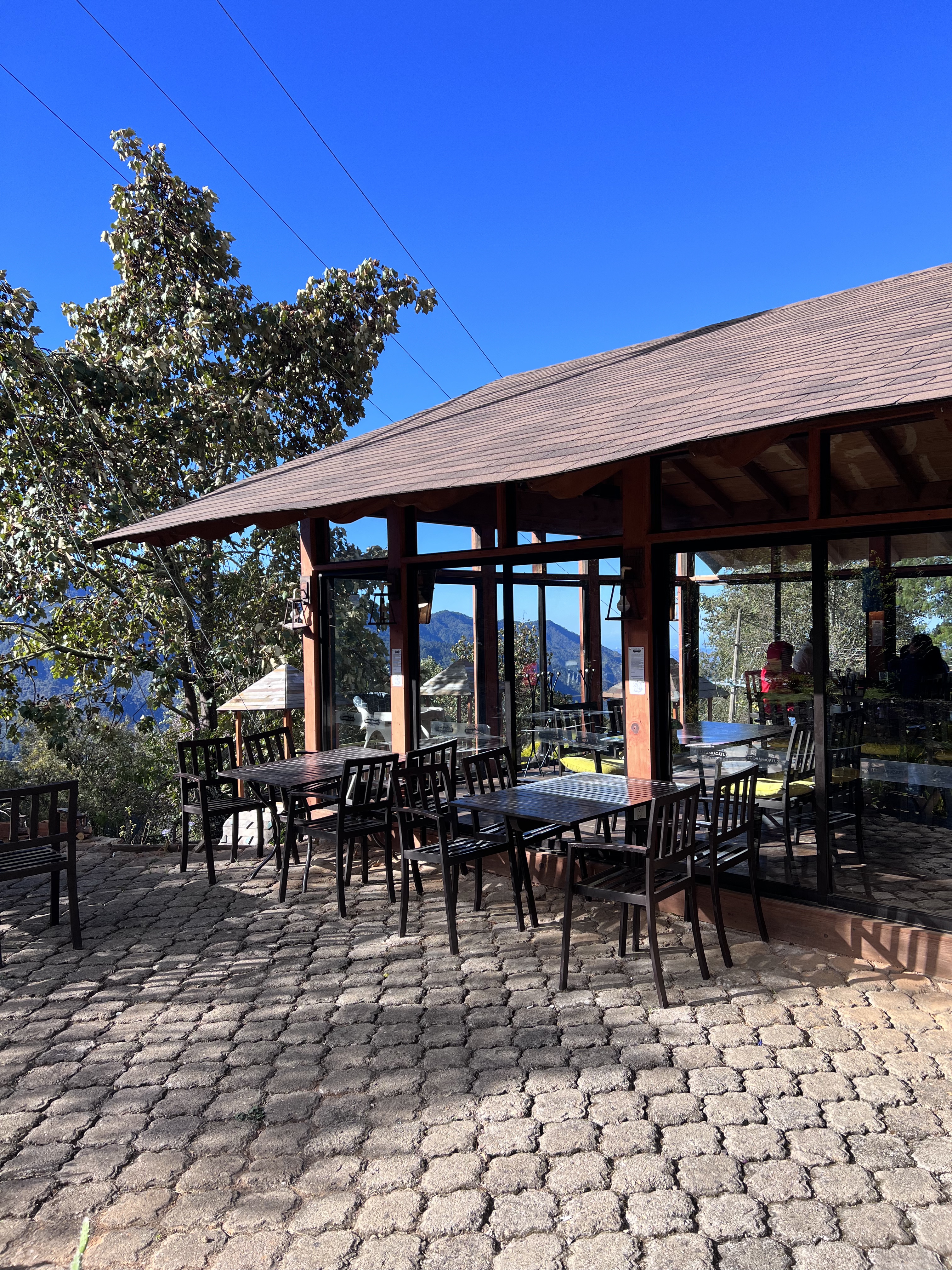 Teonanácatl image 5