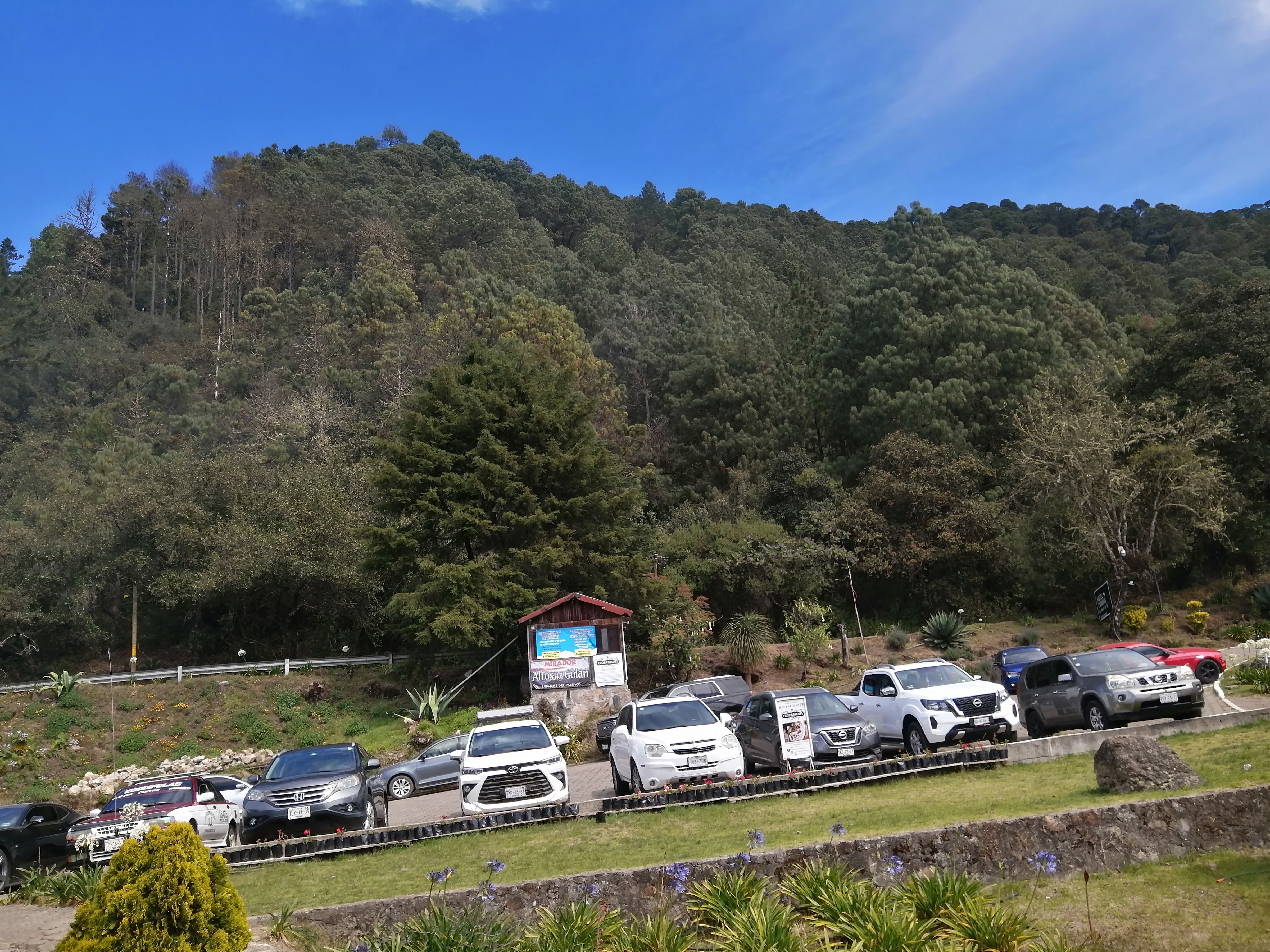 Teonanácatl image 10