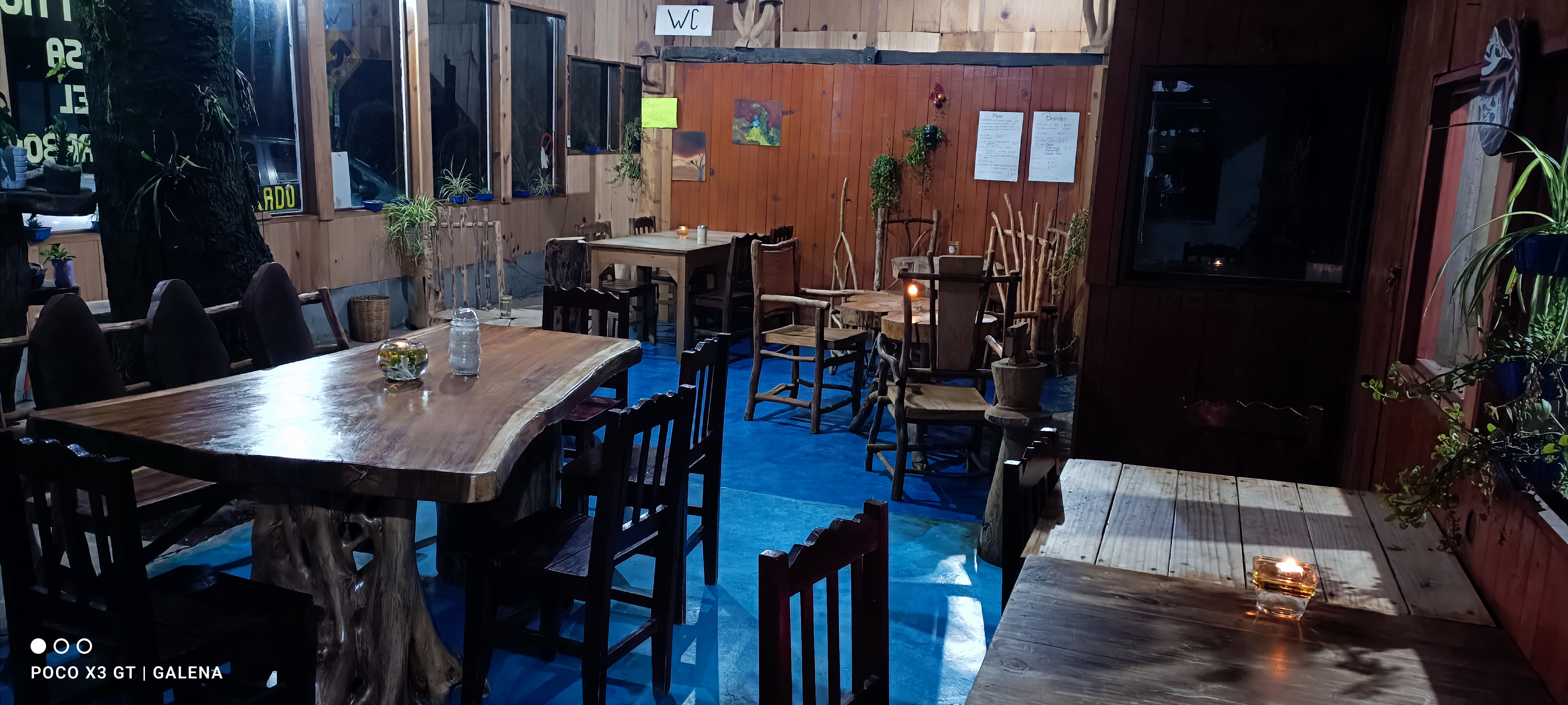 La Casa del Árbol image 1