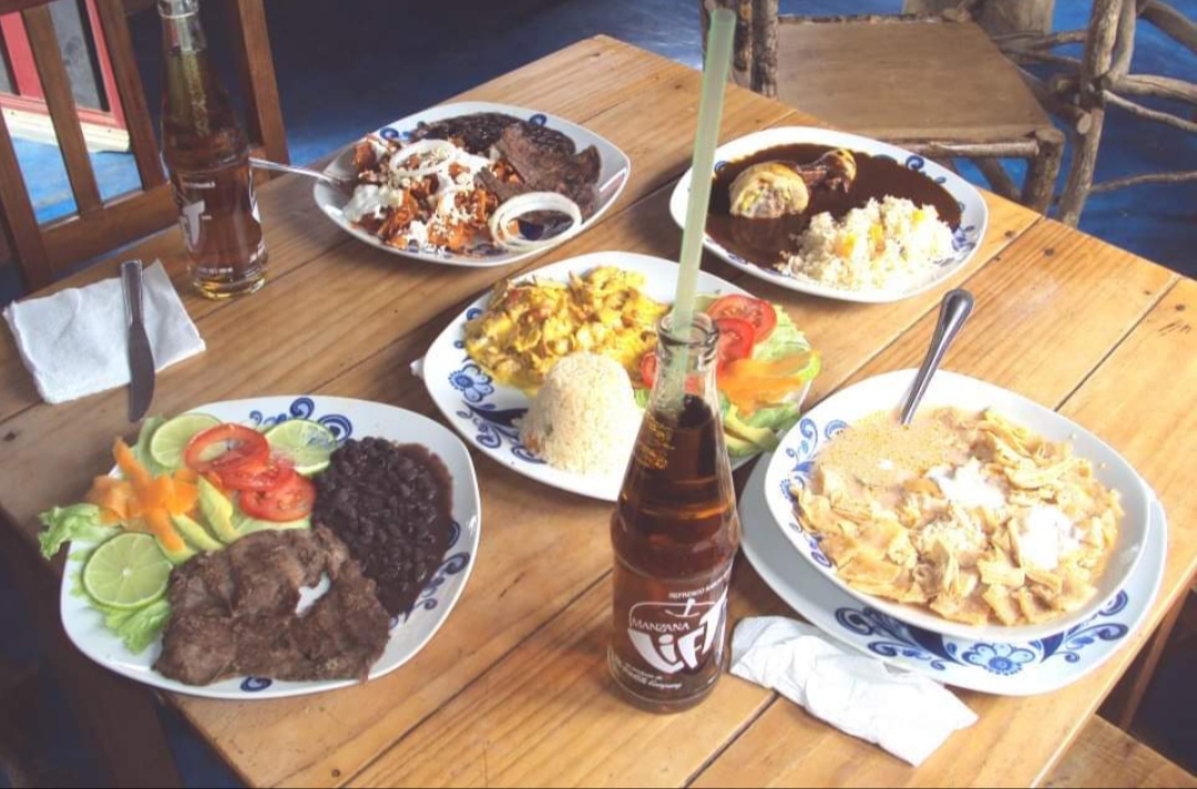 La Casa del Árbol image 4