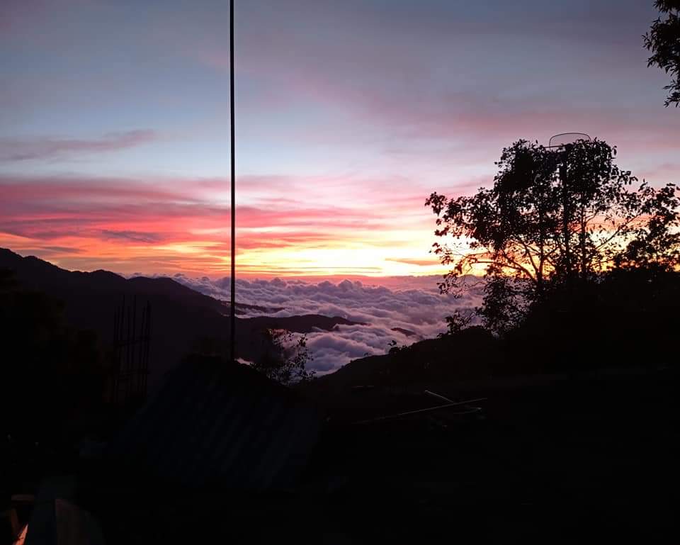 La Casa del Árbol image 5