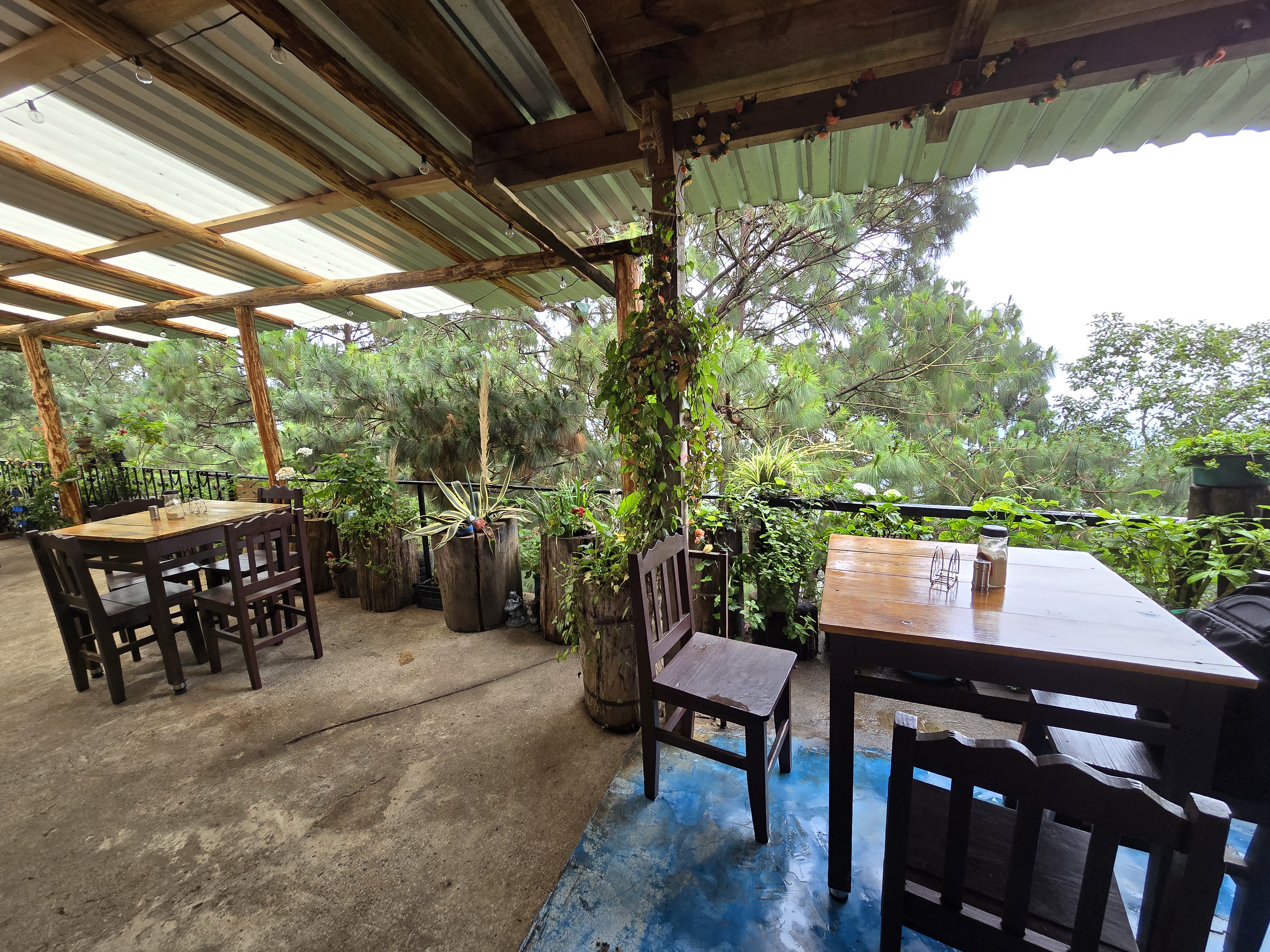 La Casa del Árbol image 6