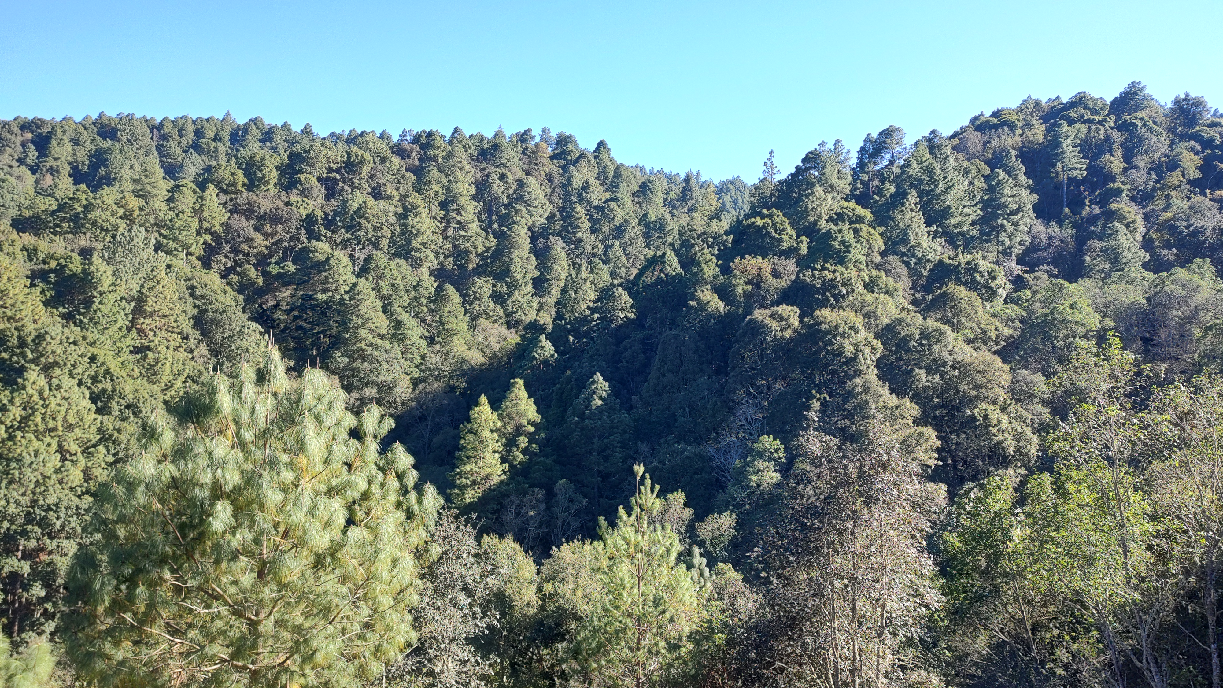 Centro Ecoturistico Rancho San Melchor image 3