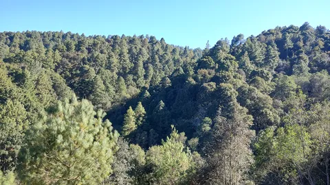 Centro Ecoturistico Rancho San Melchor image 3
