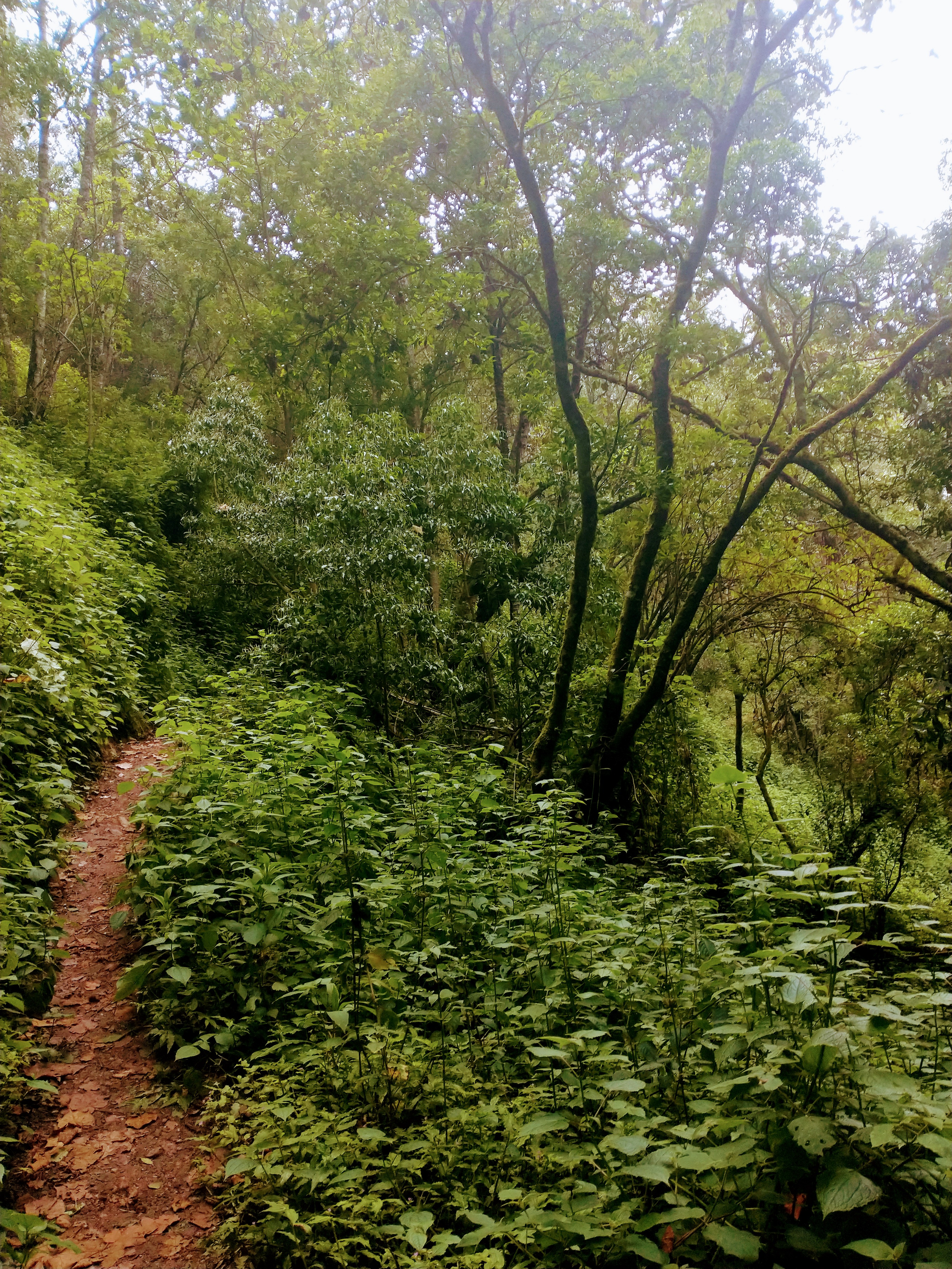 Centro Ecoturistico Rancho San Melchor image 5