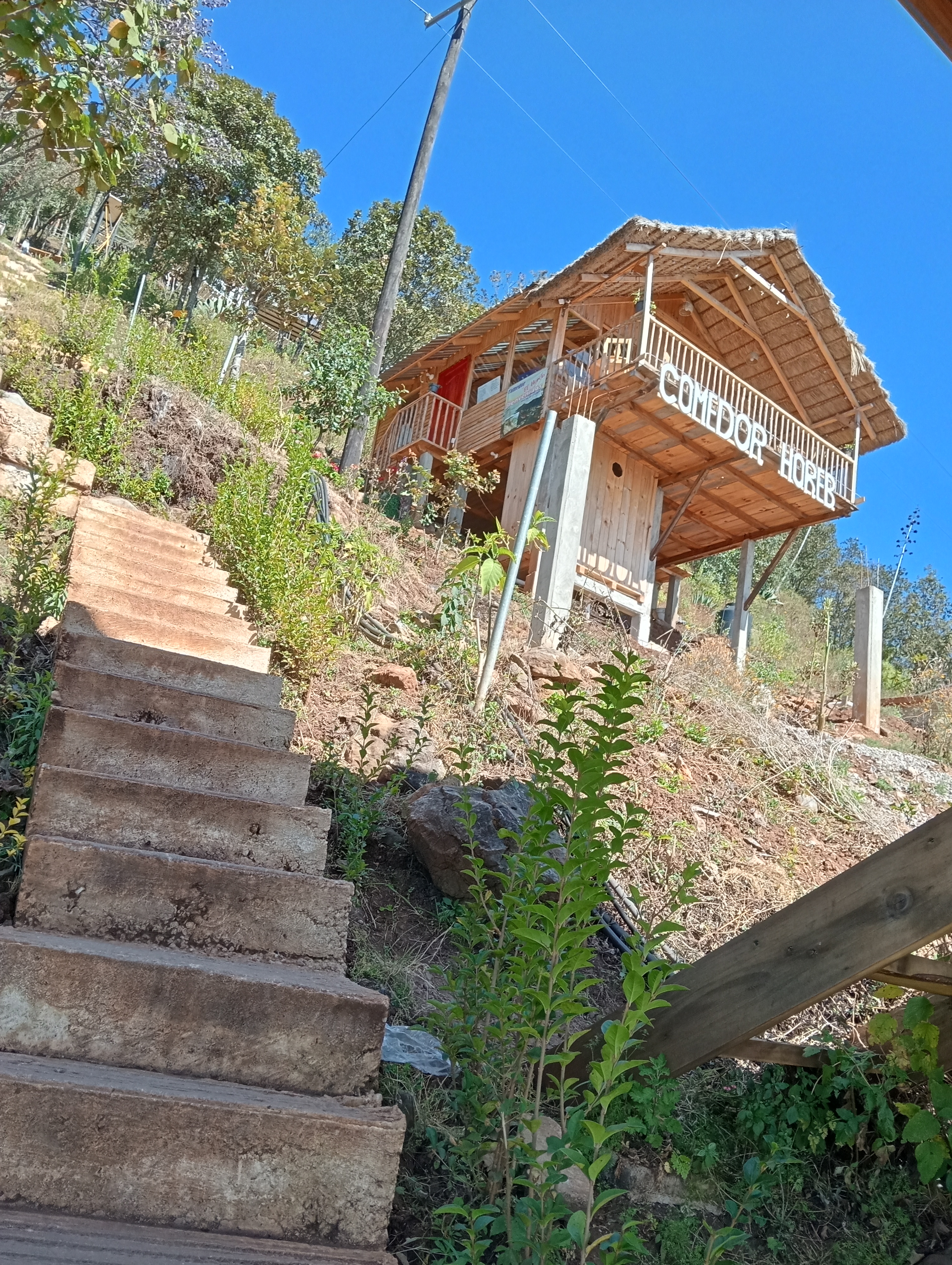 Comedor Horeb image 8