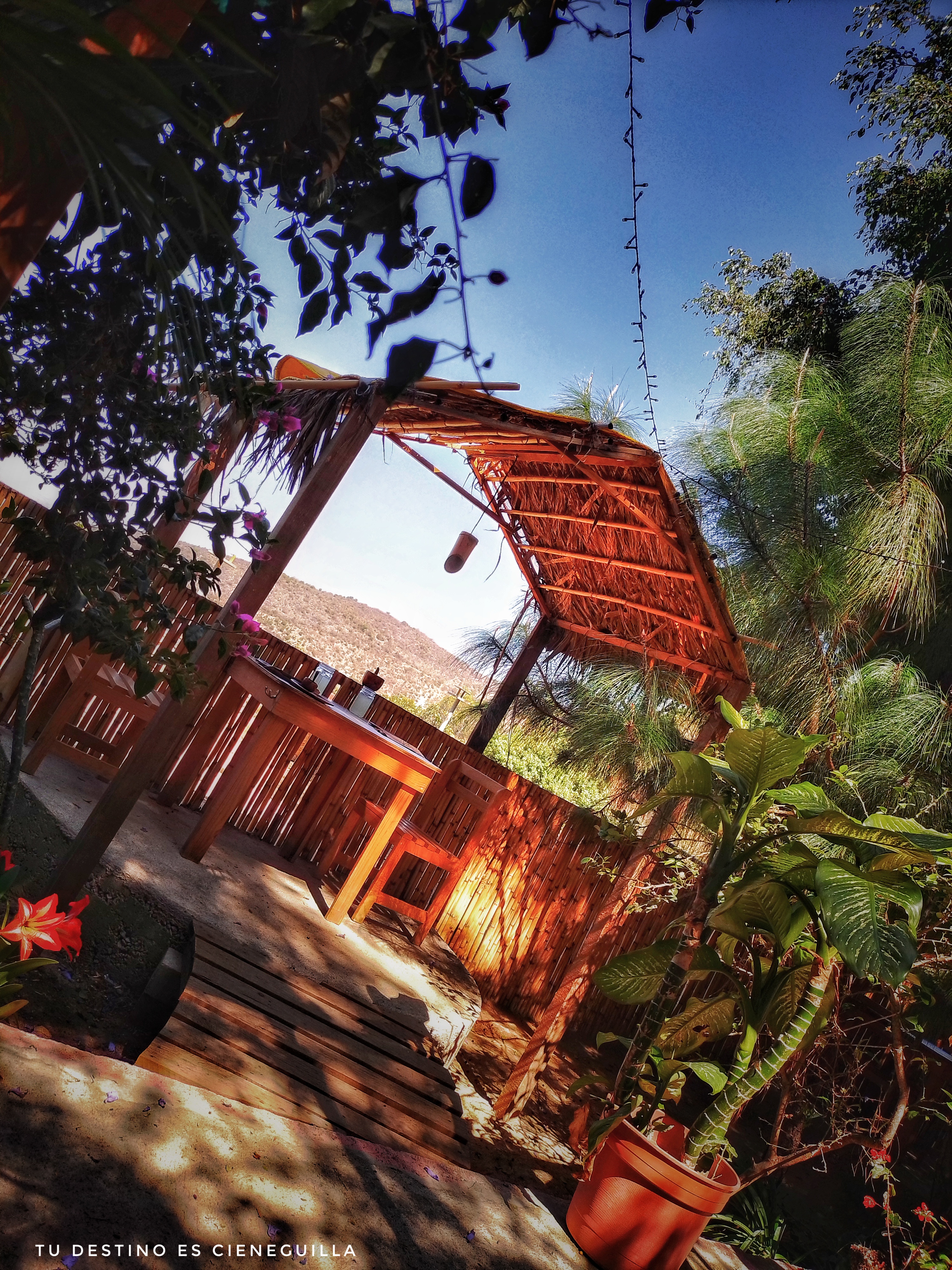 La Catarina Restaurante image 4