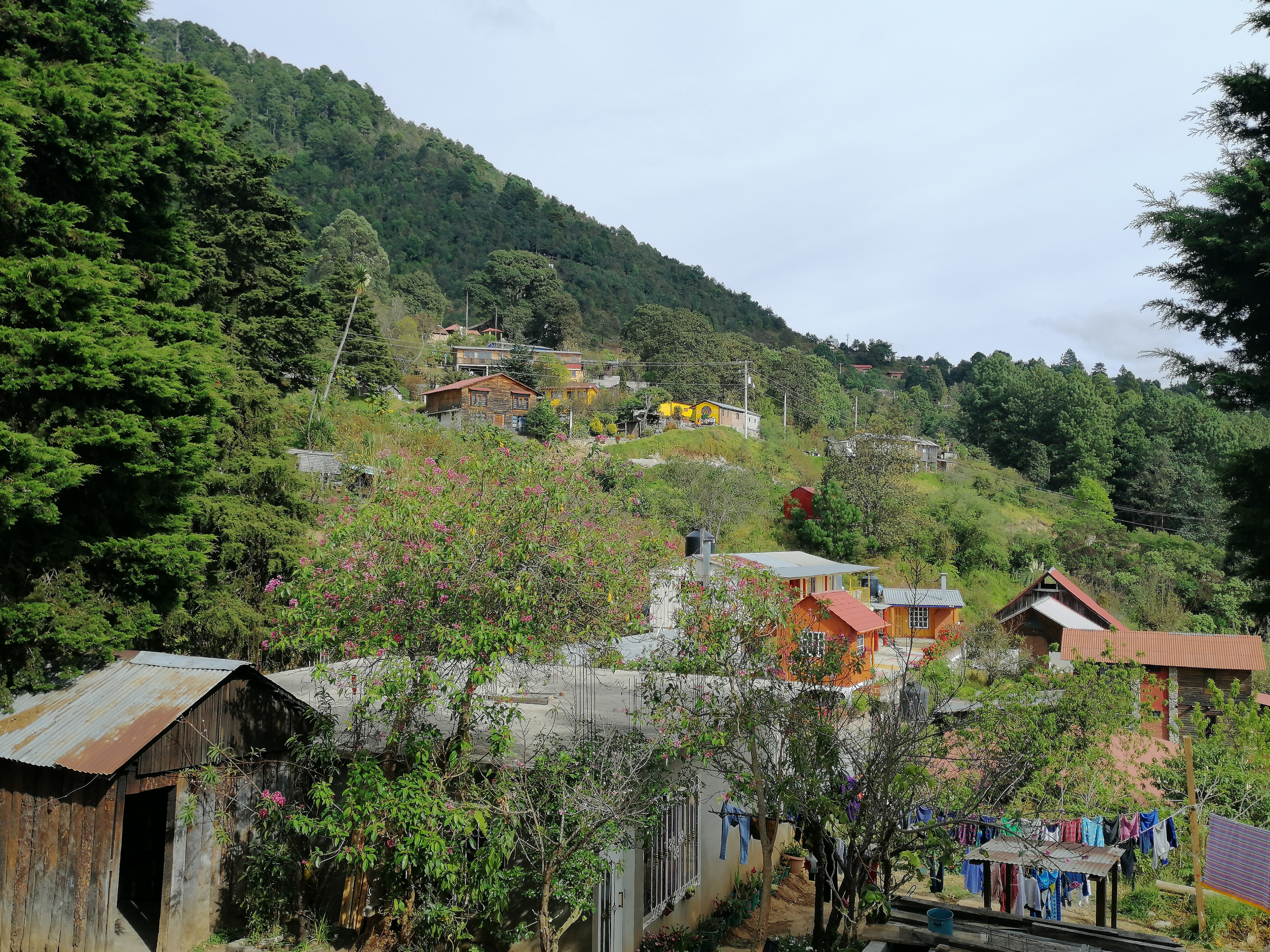Snack's and Grill El Buen Sazon image 9