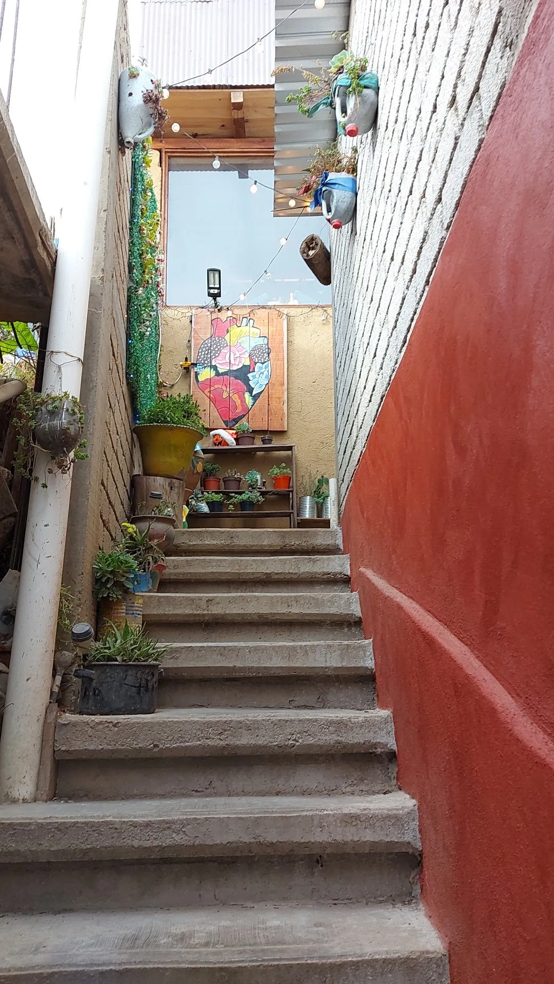 La Chusmita image 9