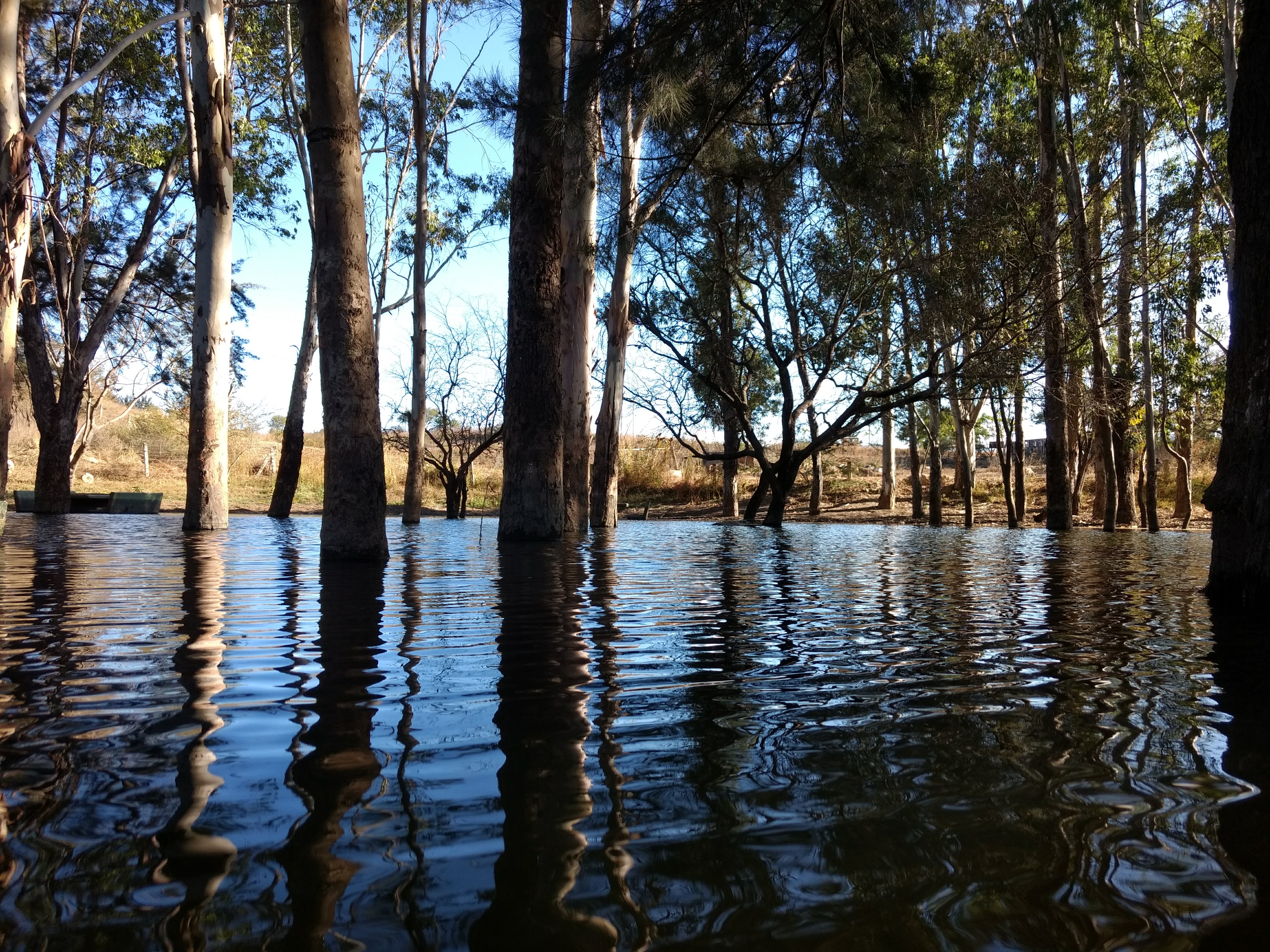 Villa Guadalupe image 4