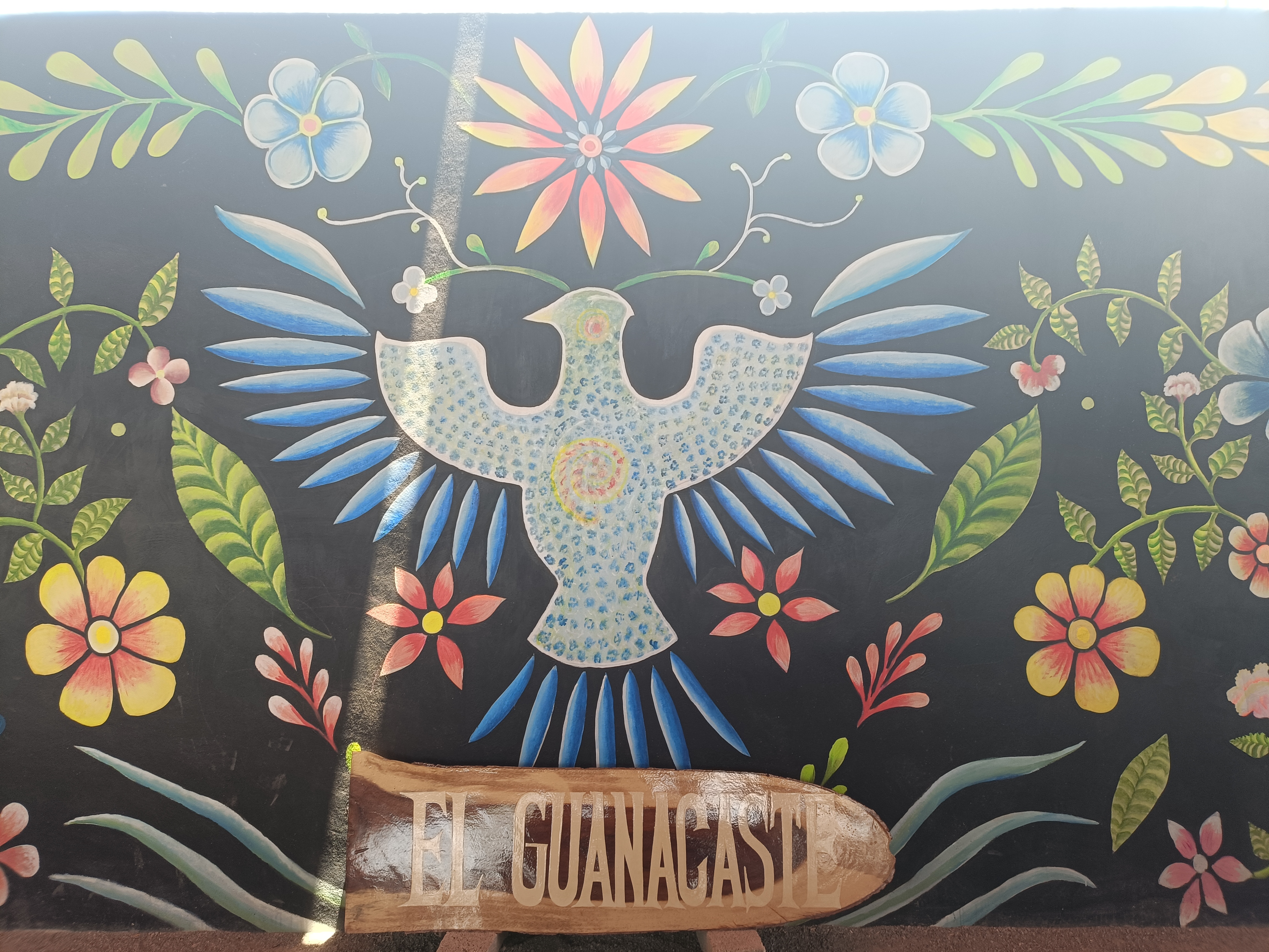 El Guanacaste image 7