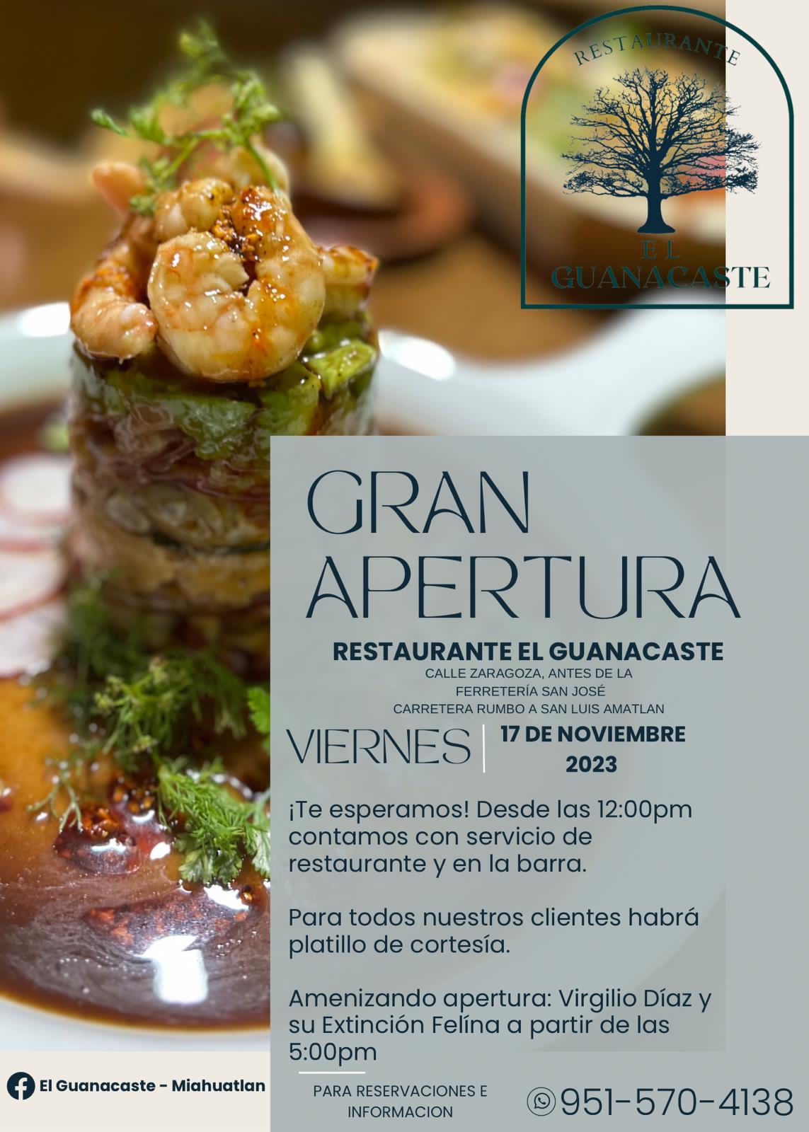 El Guanacaste image 9