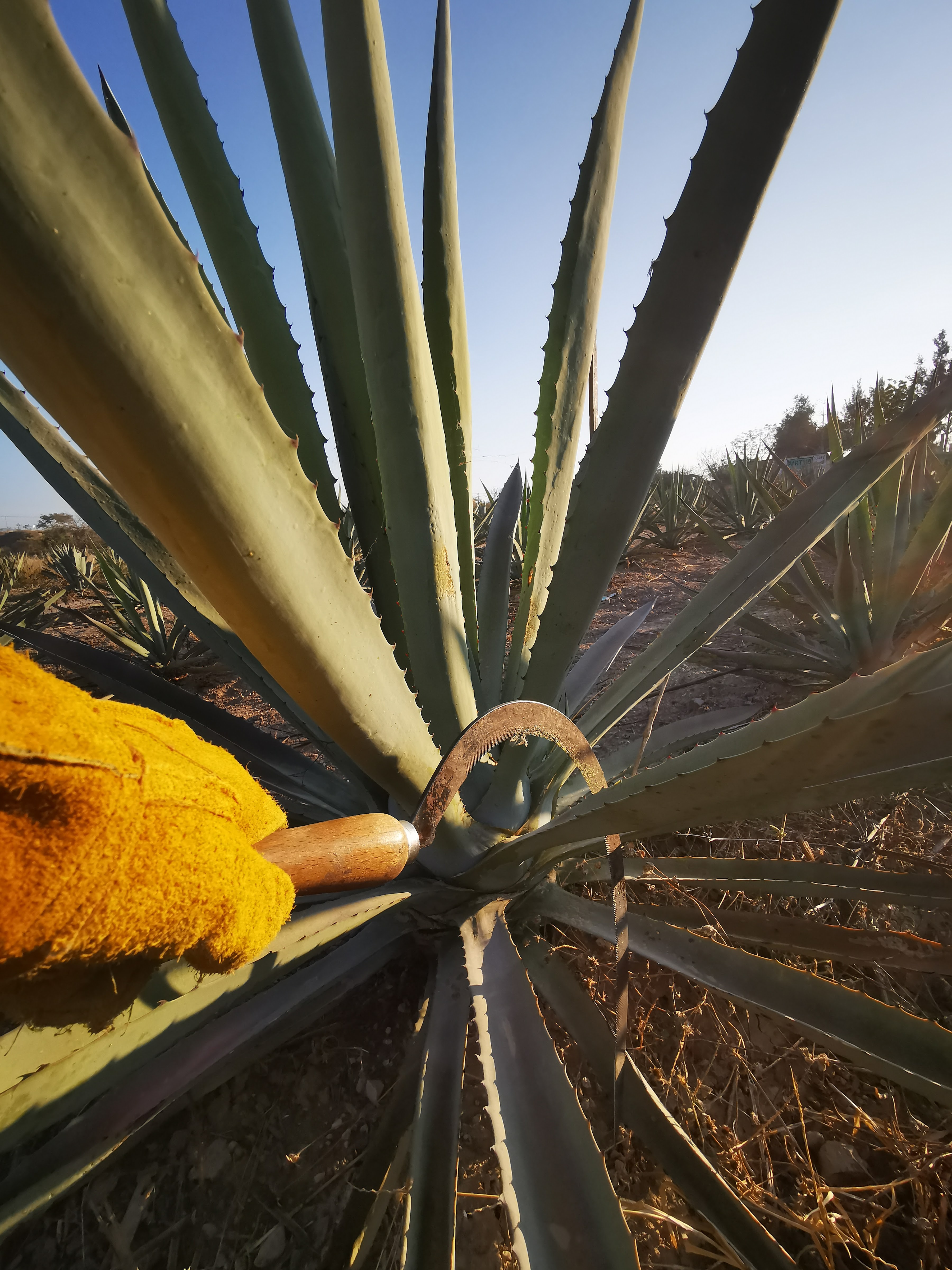 Rancho Las Cubetas image 8