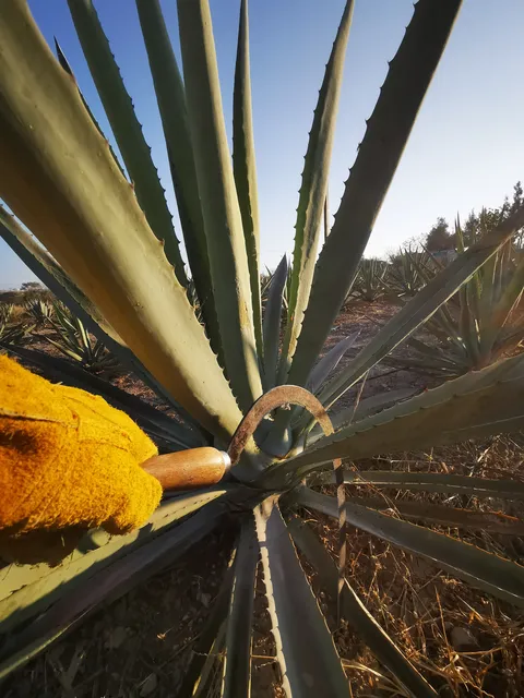 Rancho Las Cubetas image 8
