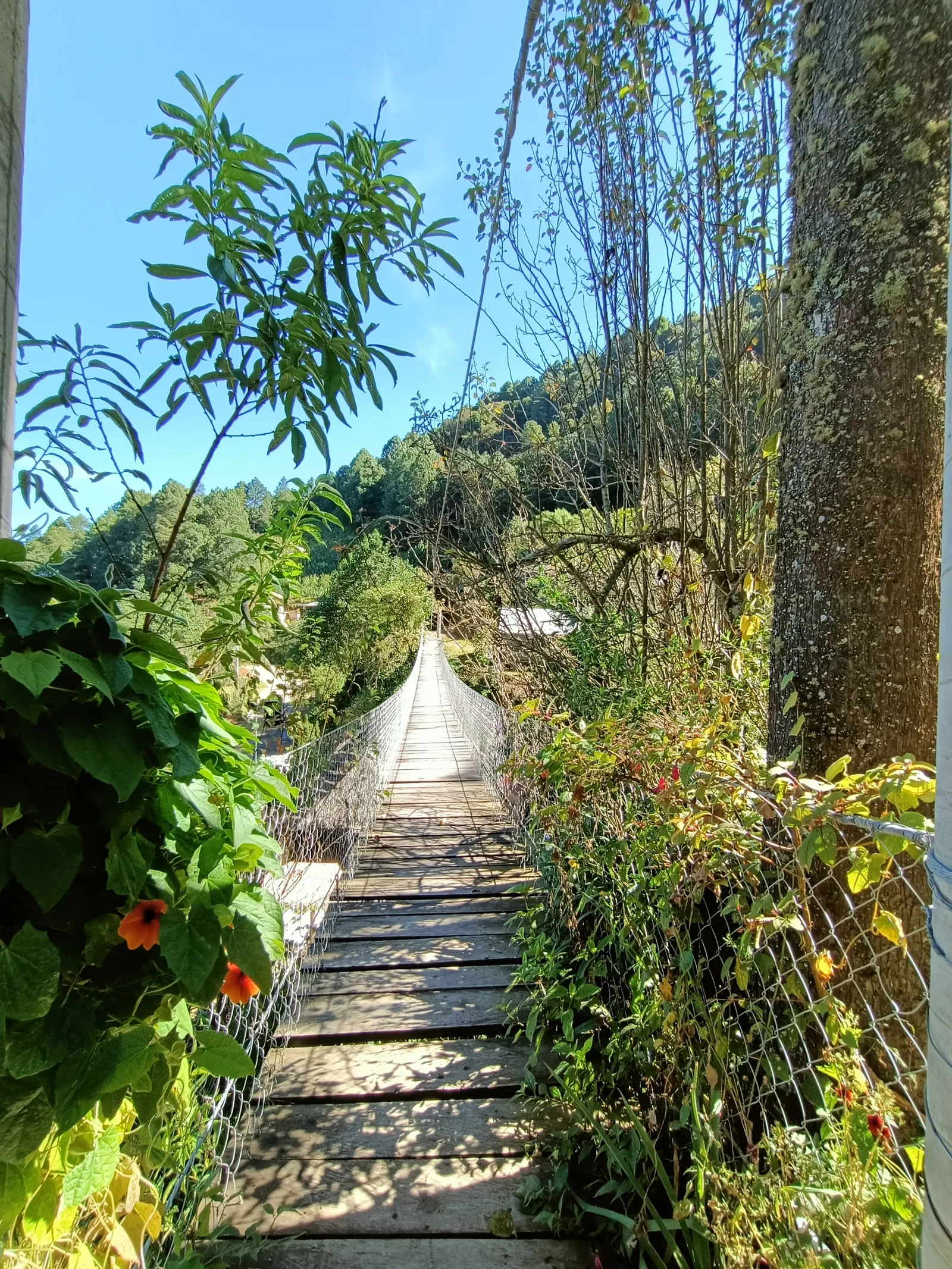 Trout Farm & Restaurant Yii-Yòb image 4