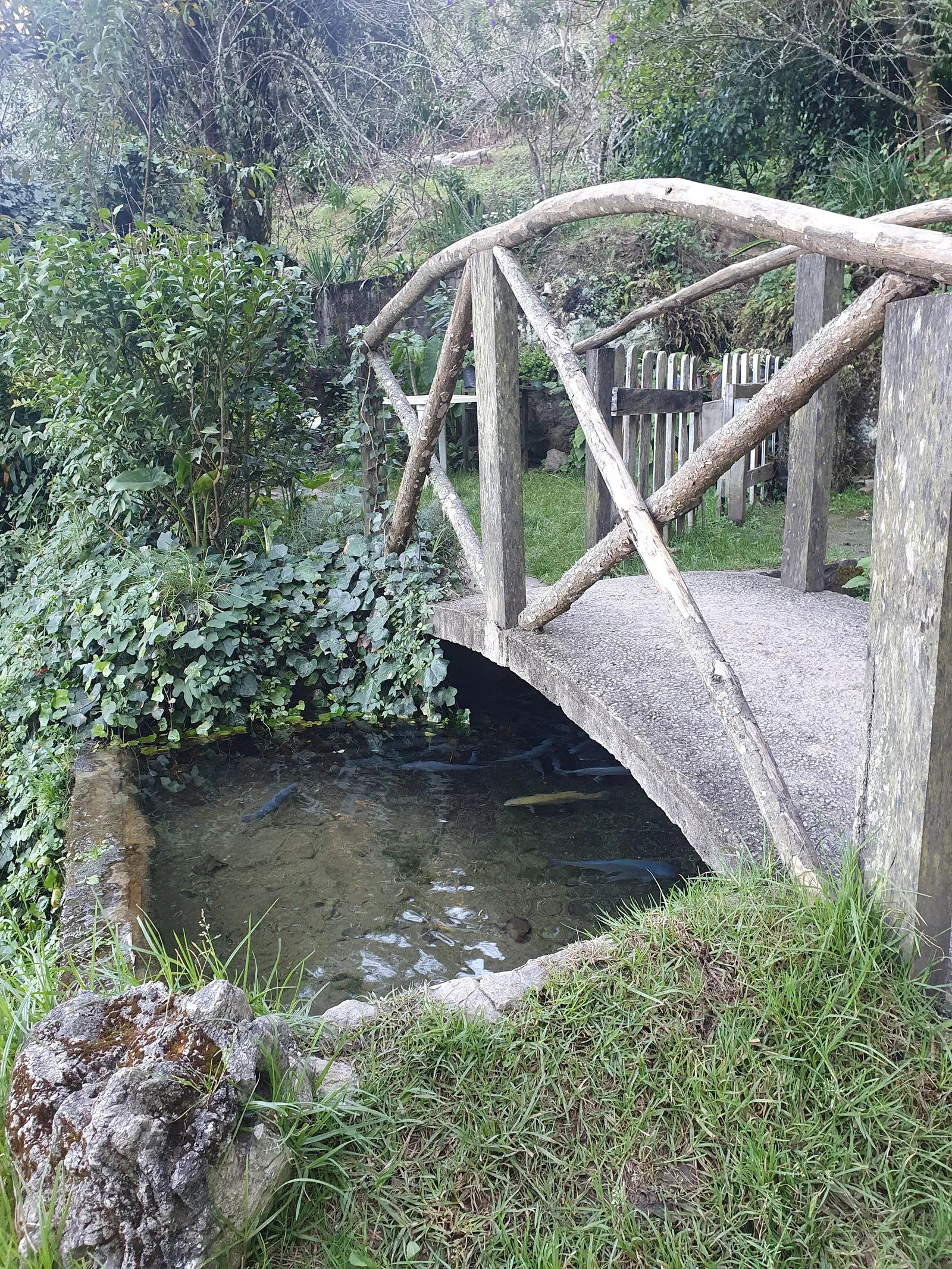 Trout Farm & Restaurant Yii-Yòb image 8