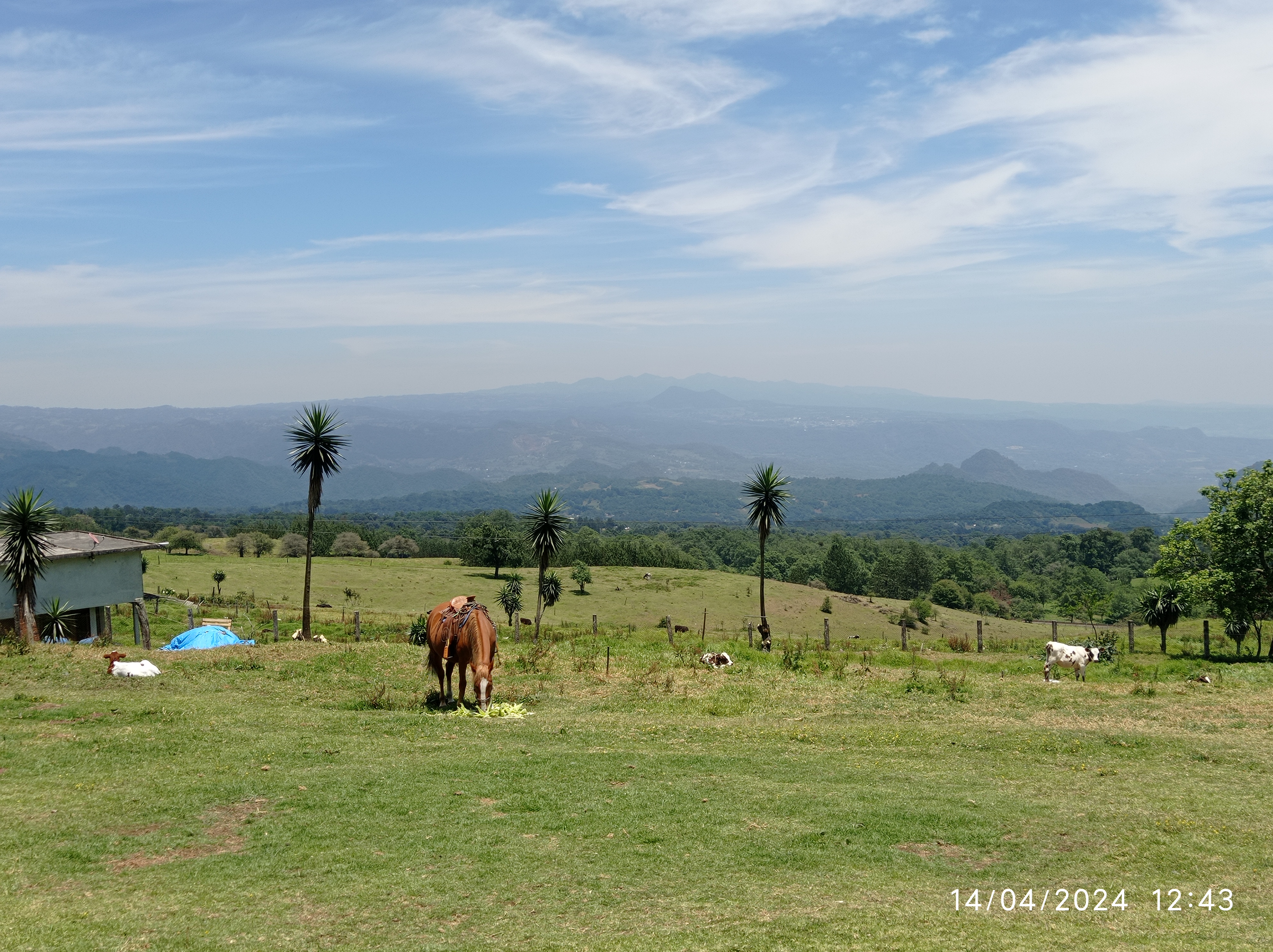 Mirador Real image 3