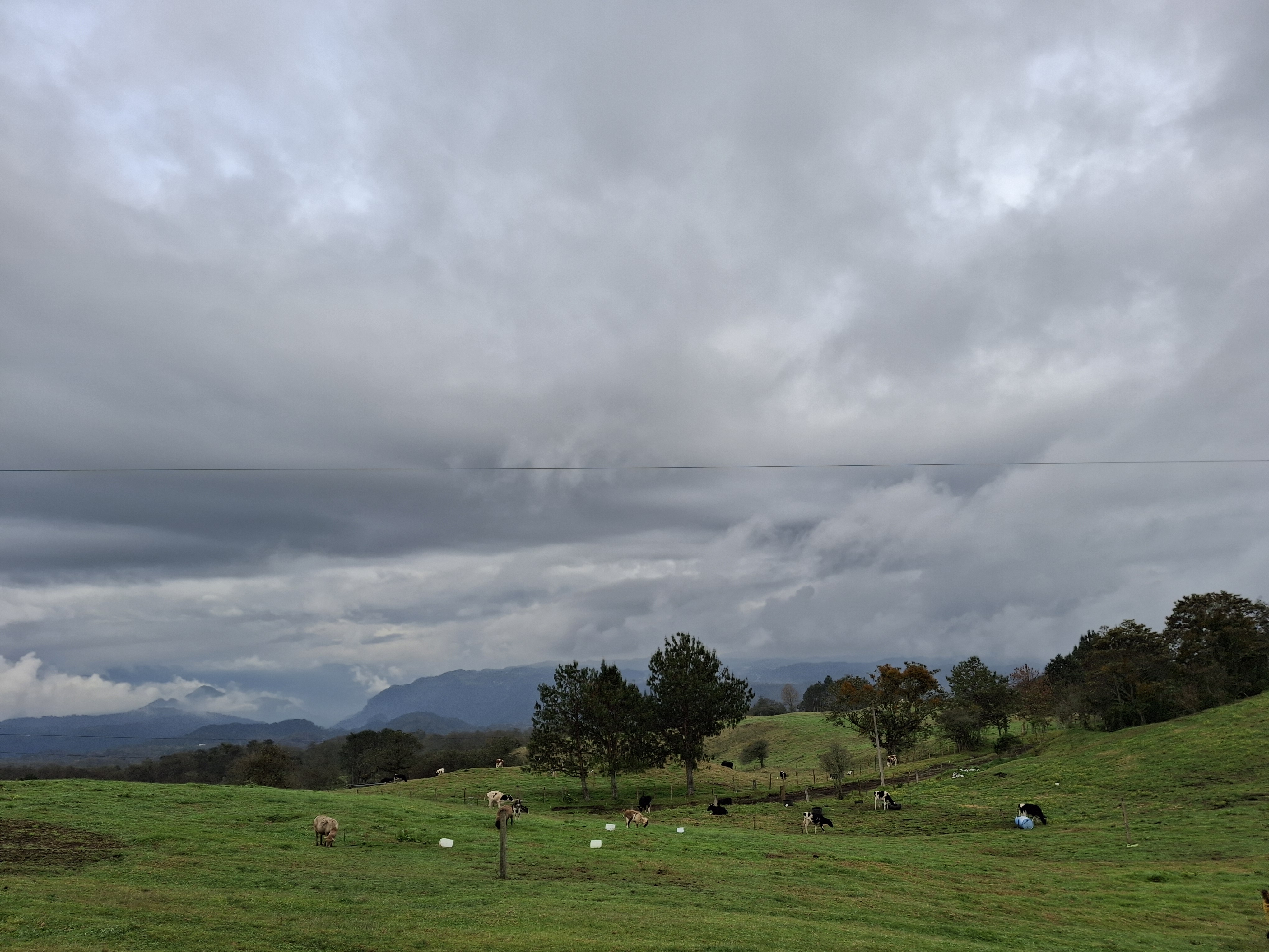 Mirador Real image 4