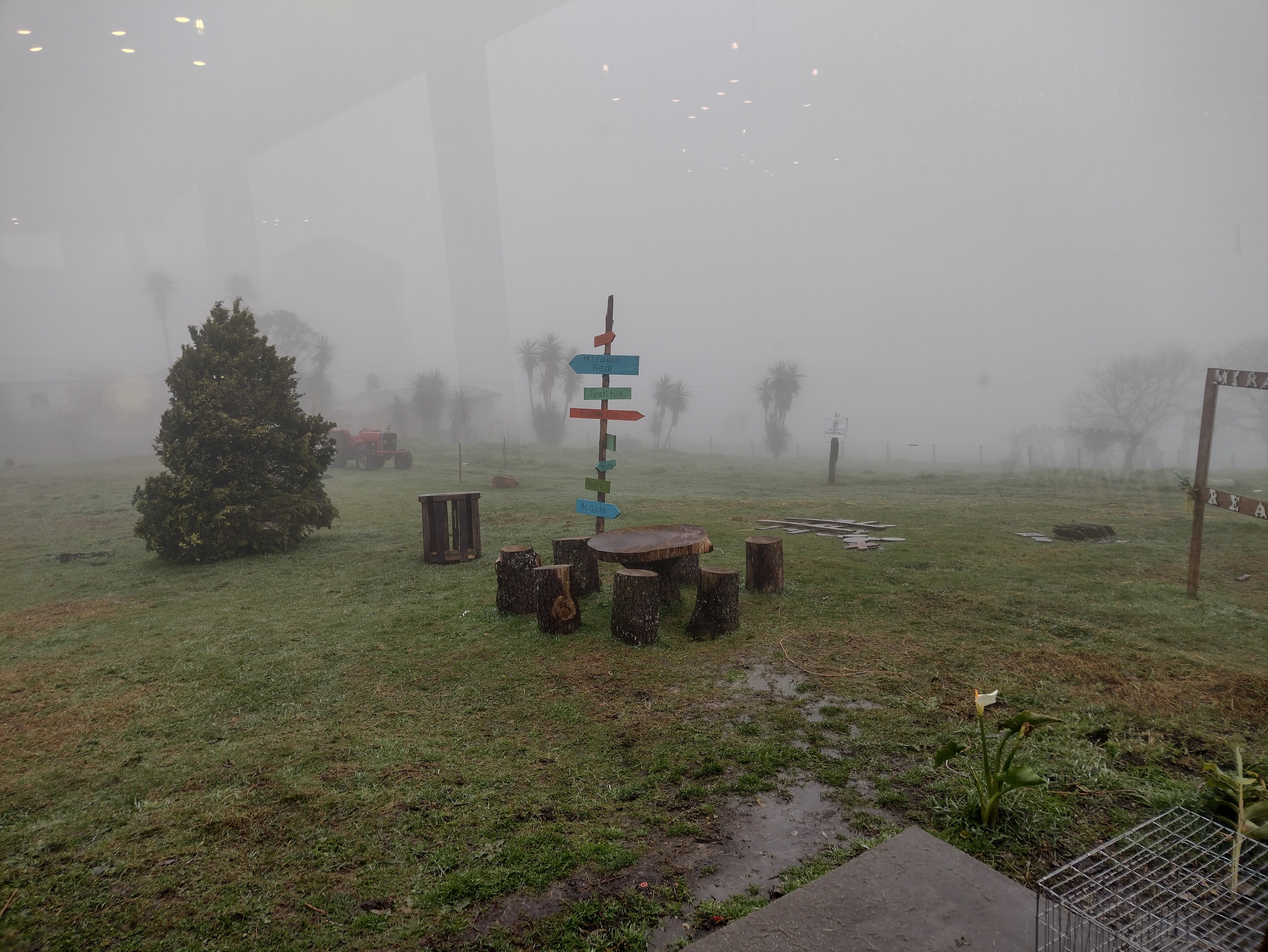 Mirador Real image 8