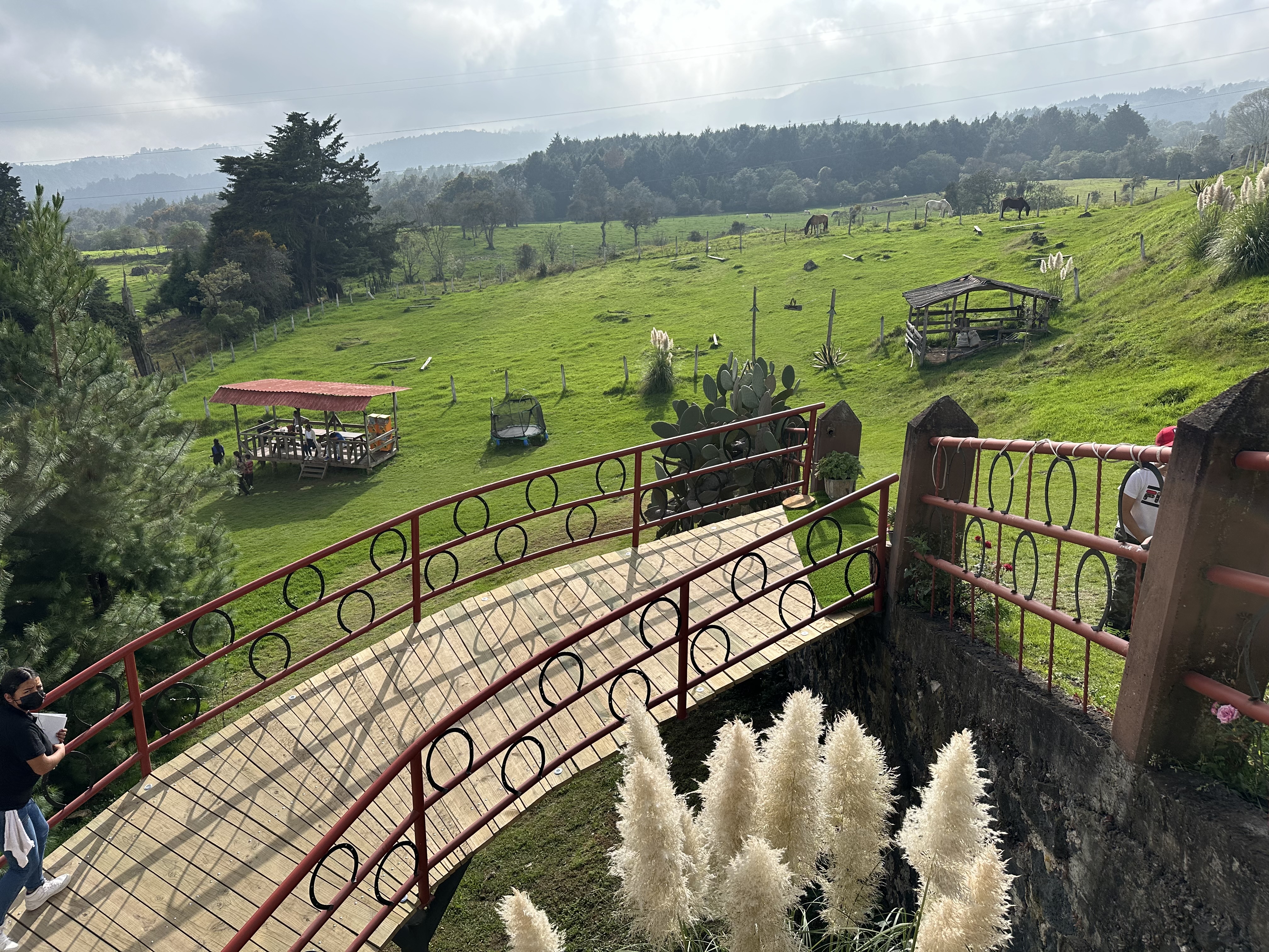 El Restaurante La Herradura image 6