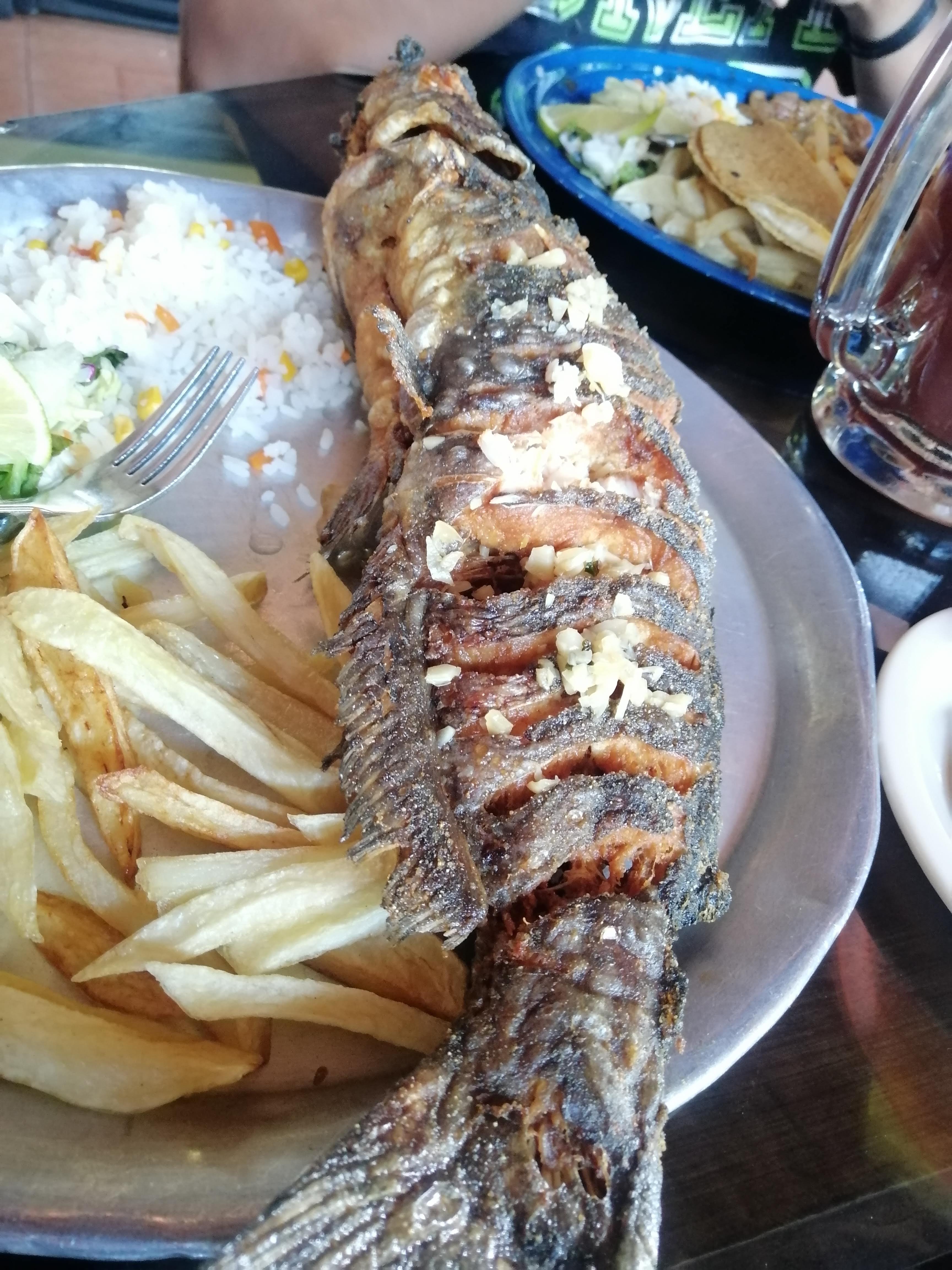 El Oasis Del Bagre image 2