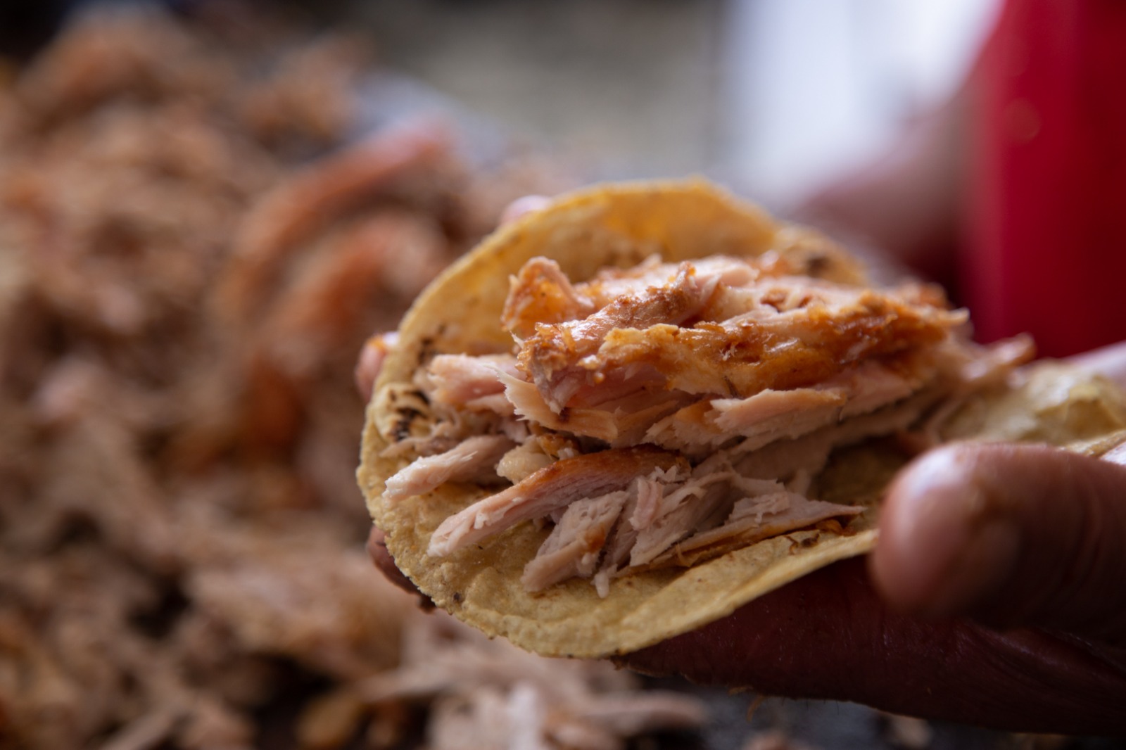 Carnitas EL GÜERO GARFIAS image 2