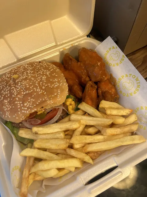 PATO WINGS image 4