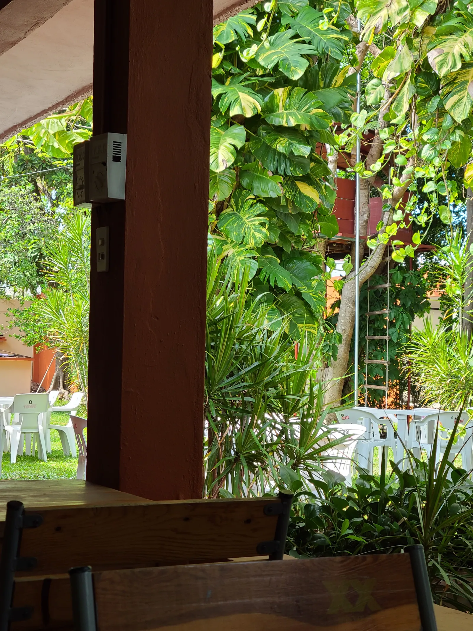 RESTAURANTE ARROYITO image 8