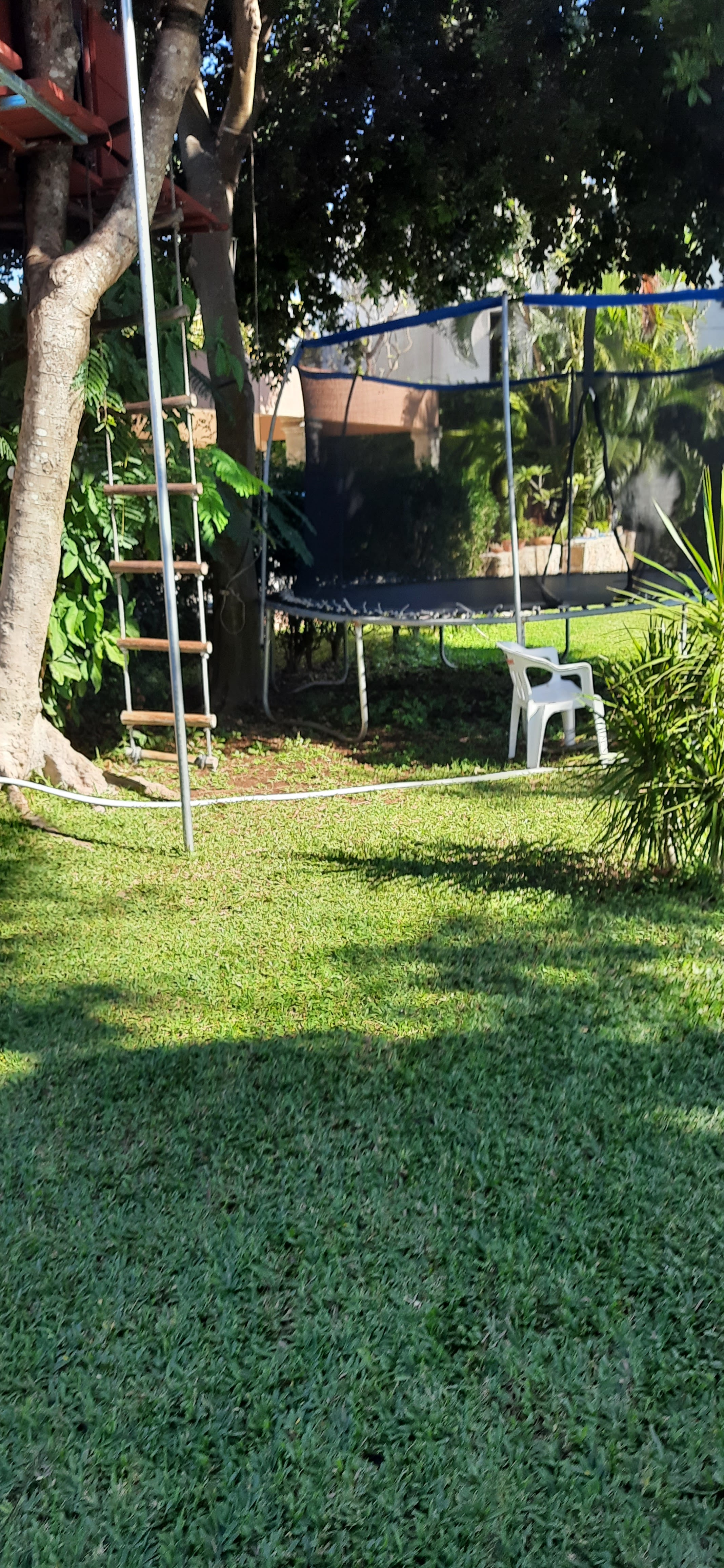 RESTAURANTE ARROYITO image 9